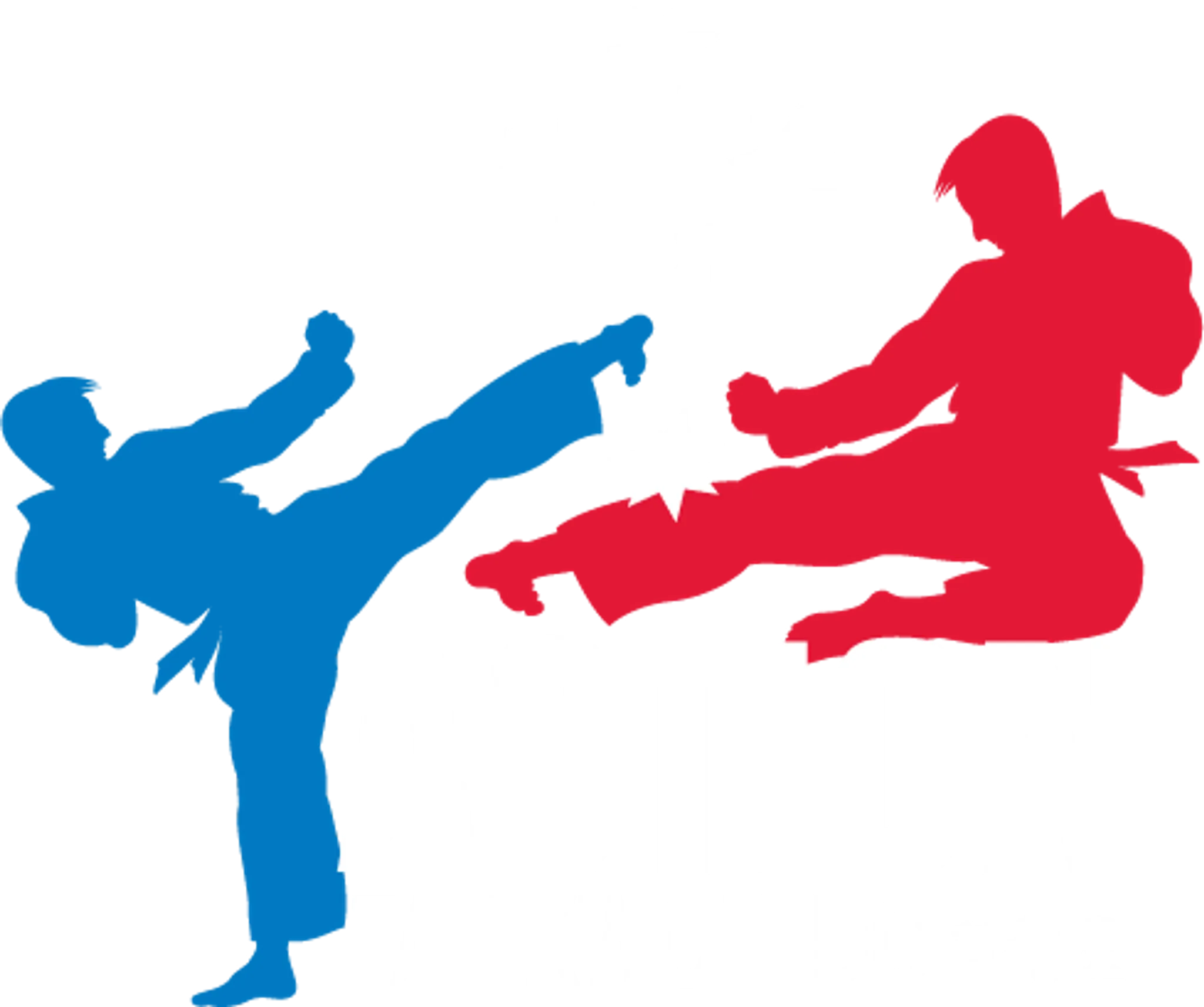 Action Taekwondo Canberra: Harrison
