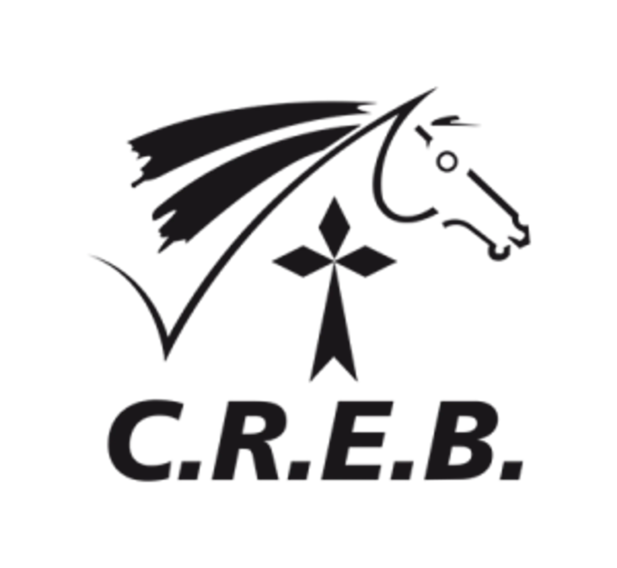Regional Committee Equestrian De Bretagne