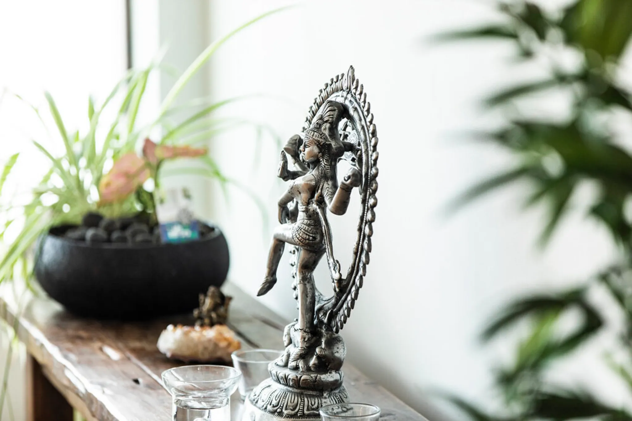 Vinyasa Yoga Teacher Training