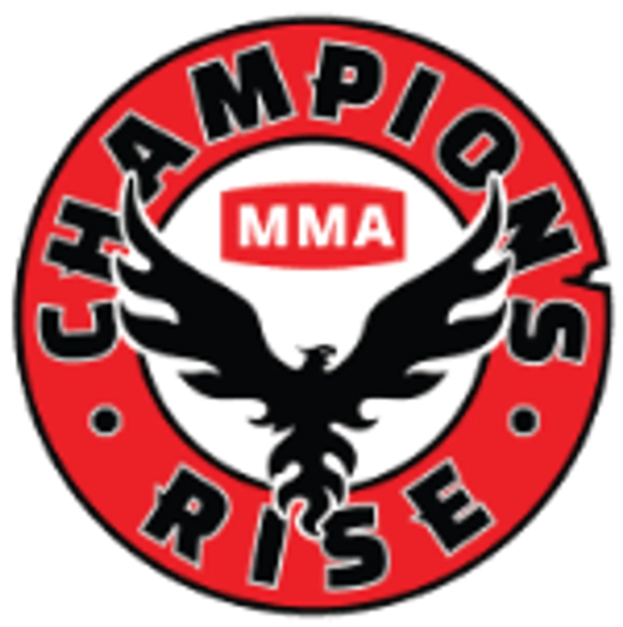 Champions Rise MMA Training Program