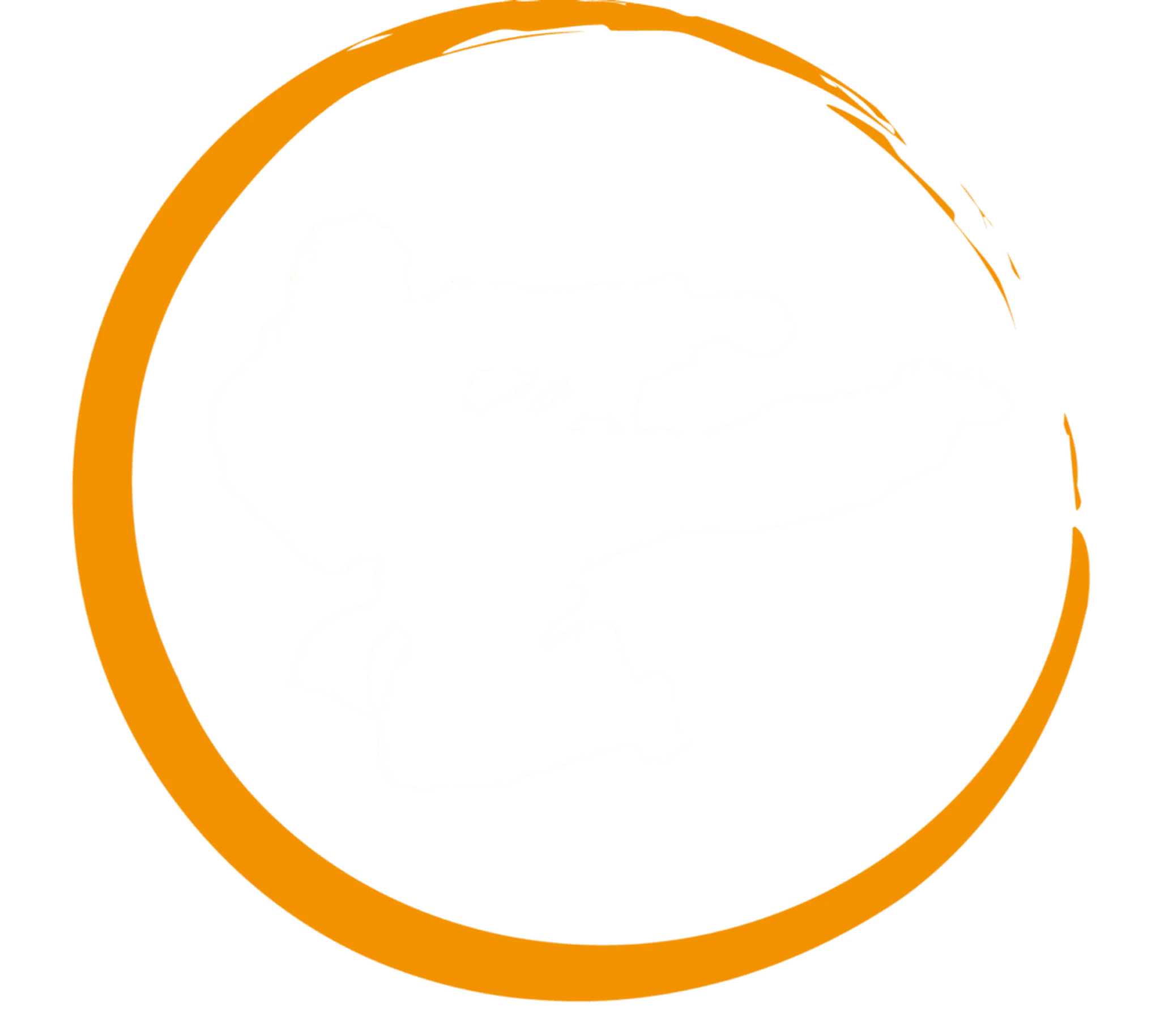 Evolution Korean Martial Arts