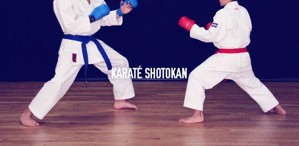 Cours de karaté pour ceintures bleues et plus
