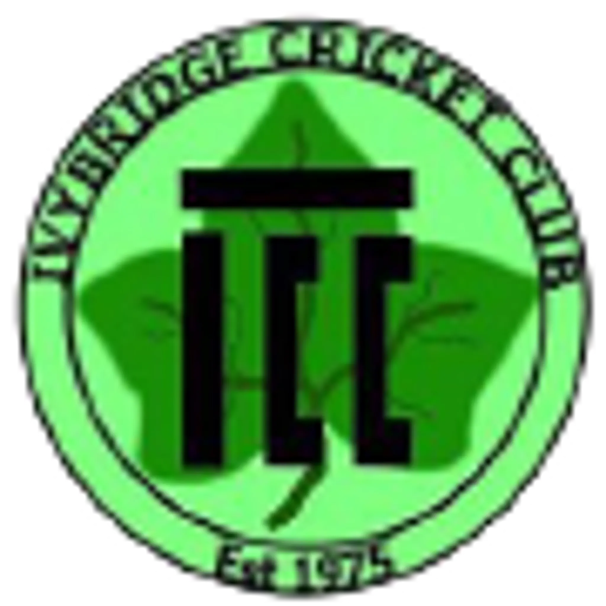 Ivybridge Cricket Club