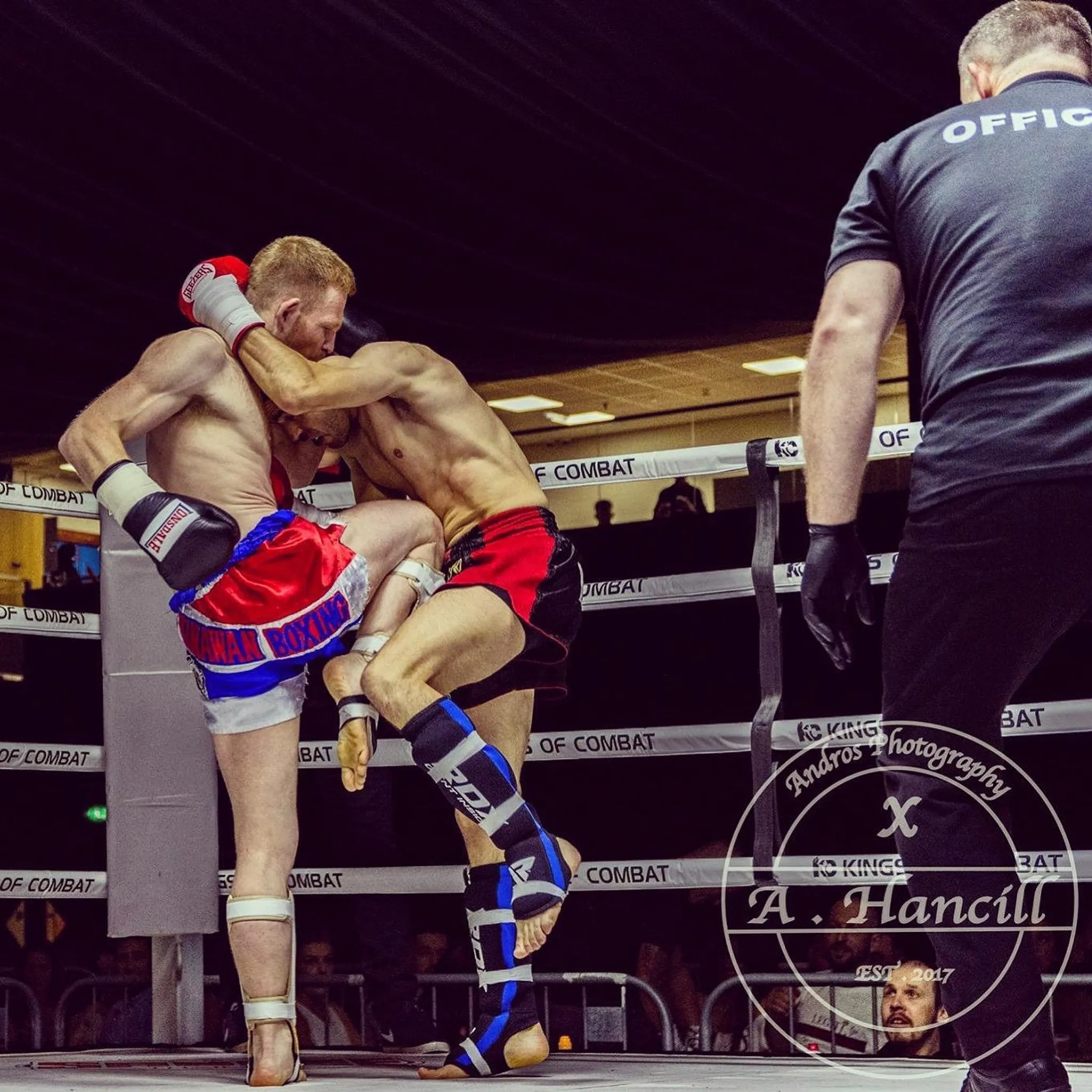 The Dungeon Bjj - K1 Kickboxing and mma