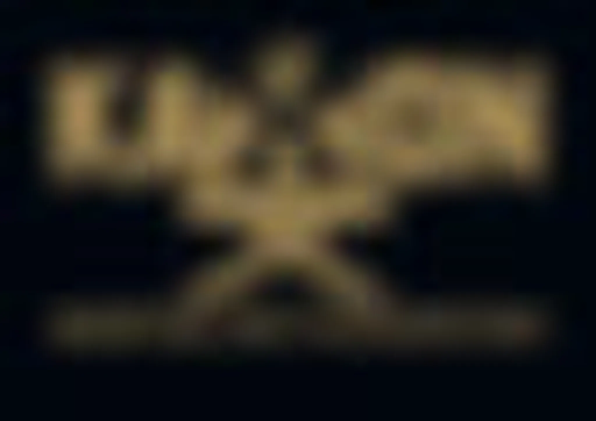 Kamon Martial Arts Chichester