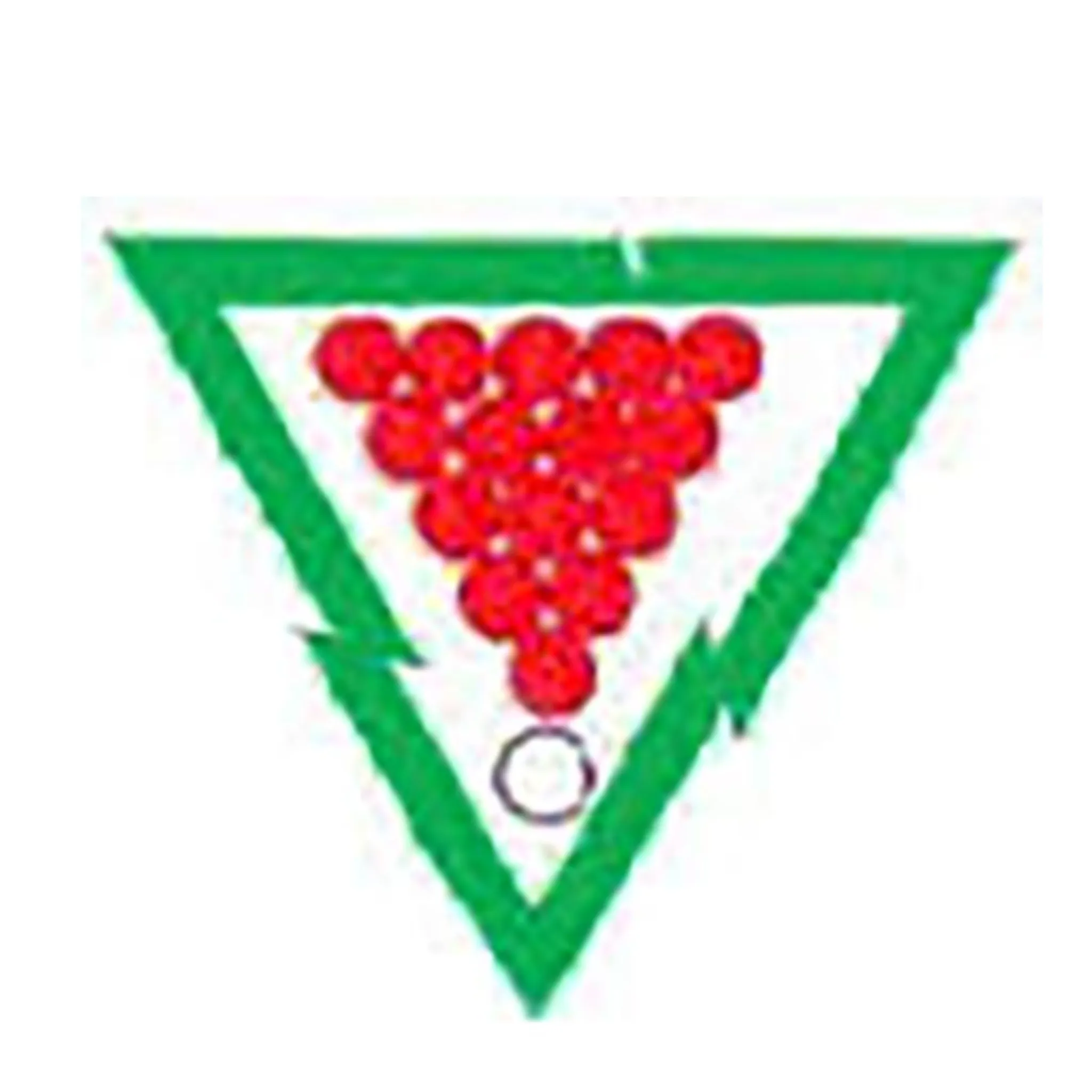 Southern Tasmanian Billiards and Snooker Association