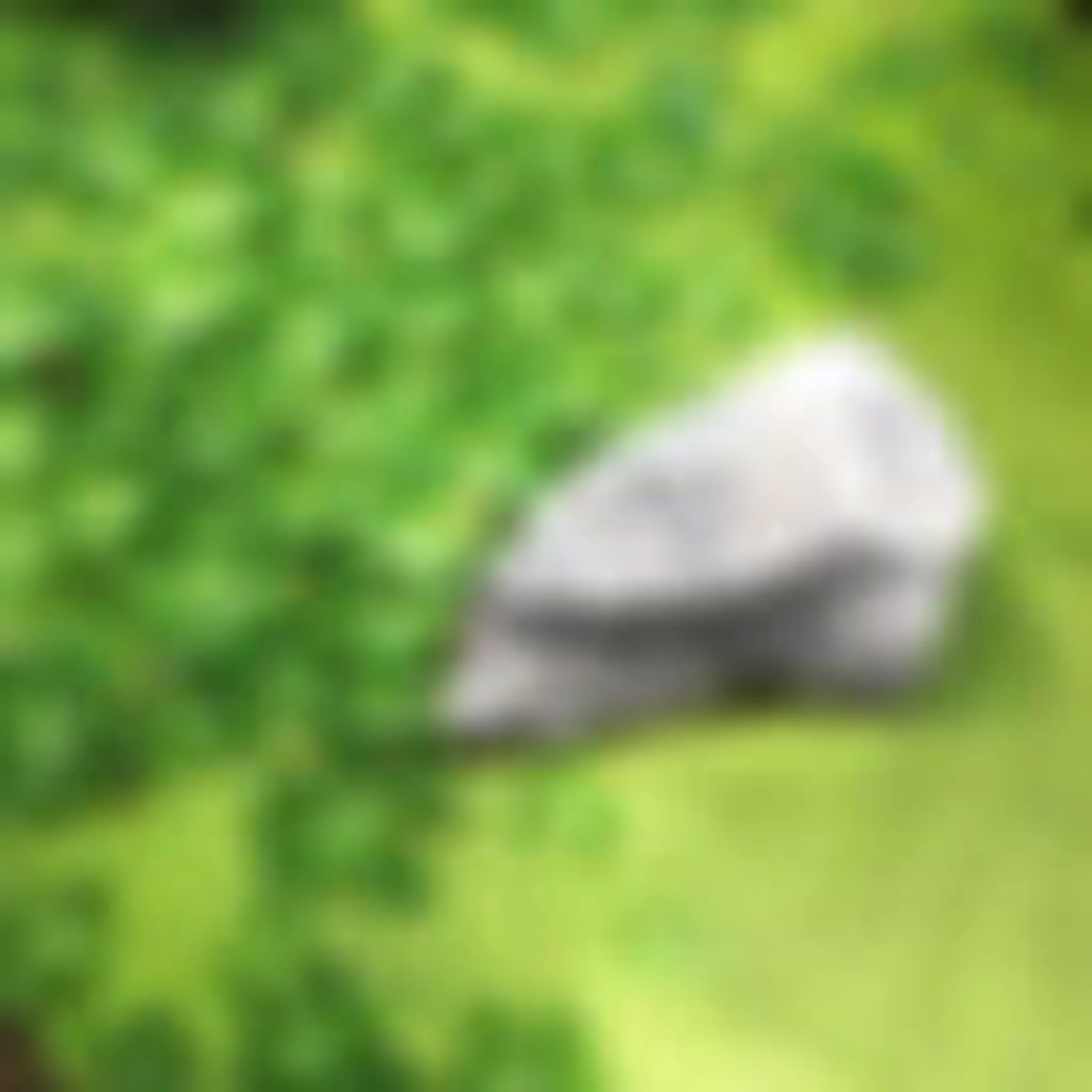 Isabelle Armagnat - Relaxation