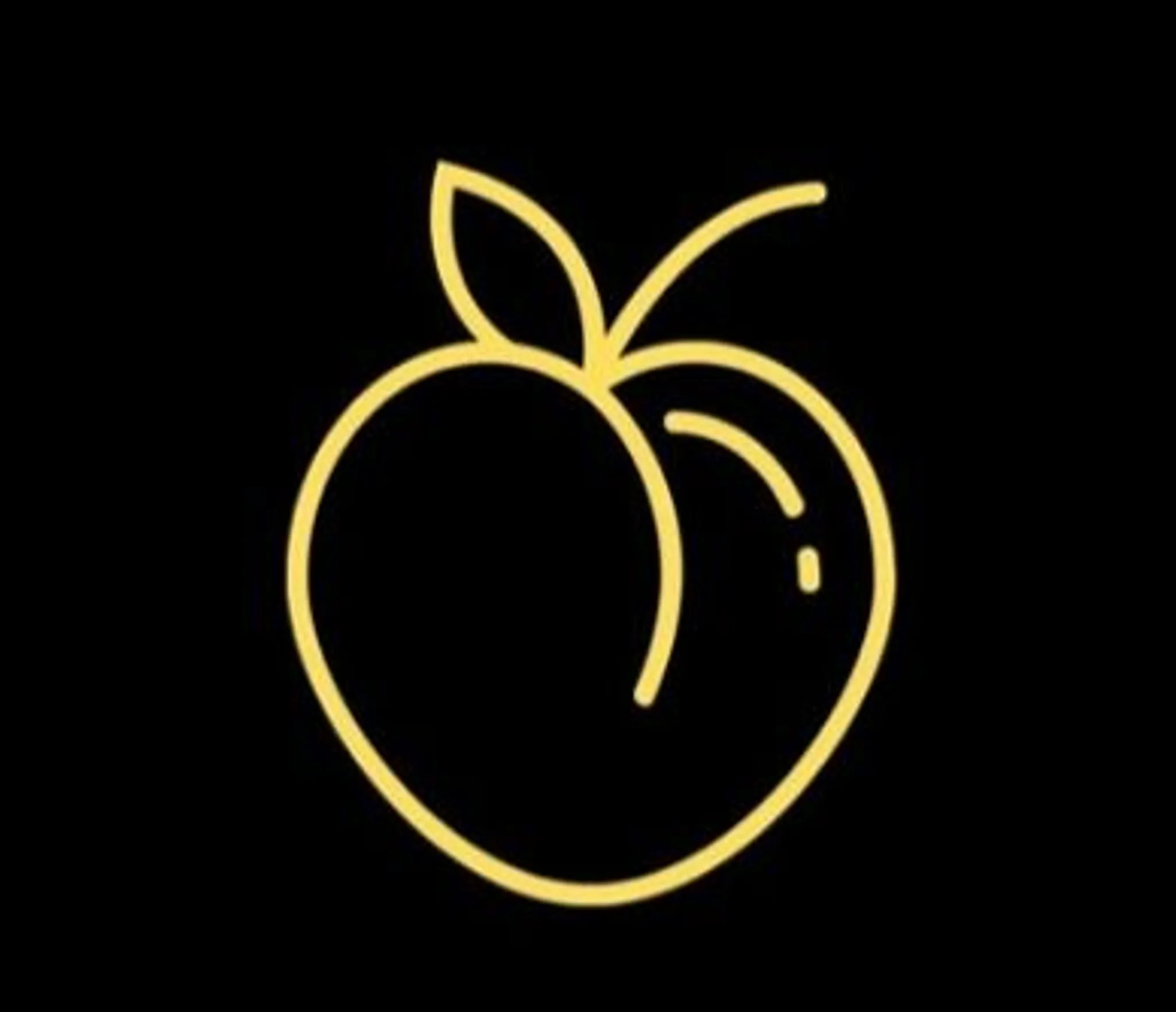 INSANE PT Fitness Classes