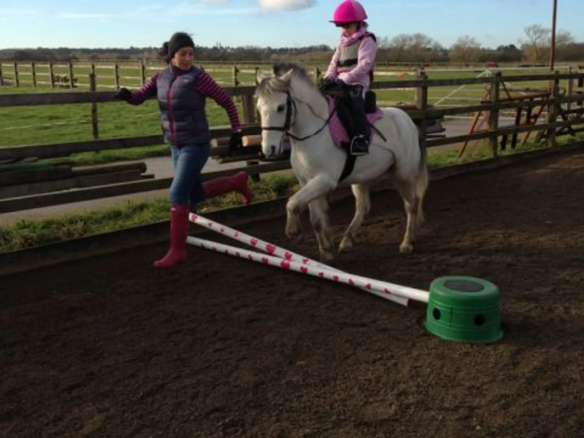 Hobby Horse Equestrian