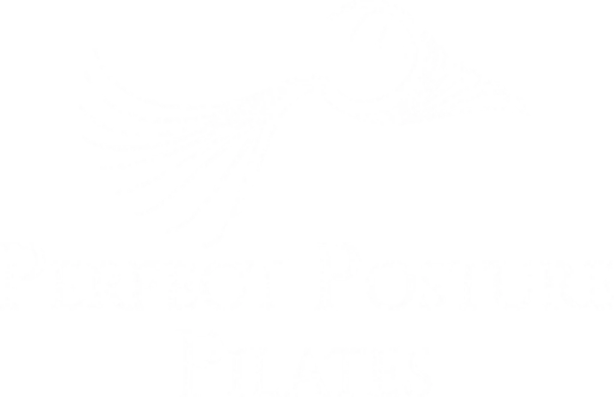Perfect Posture Pilates