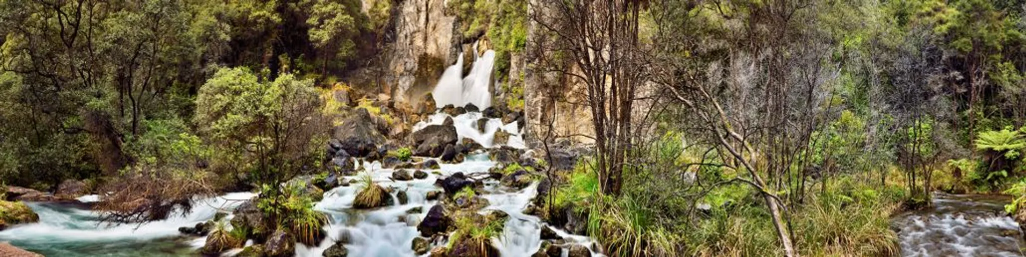 Tarawera Ultramarathon
