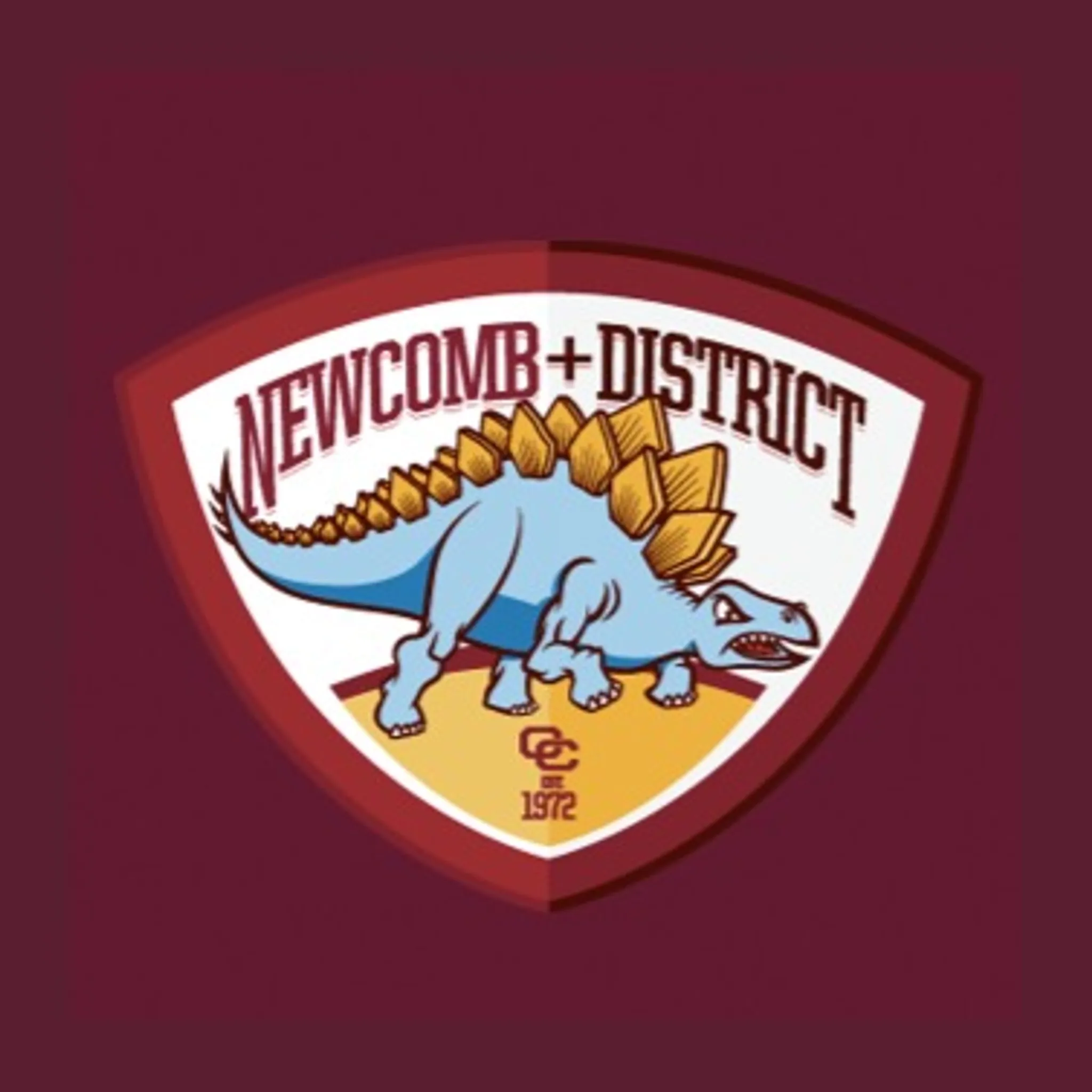 Newcomb & District Cricket Club