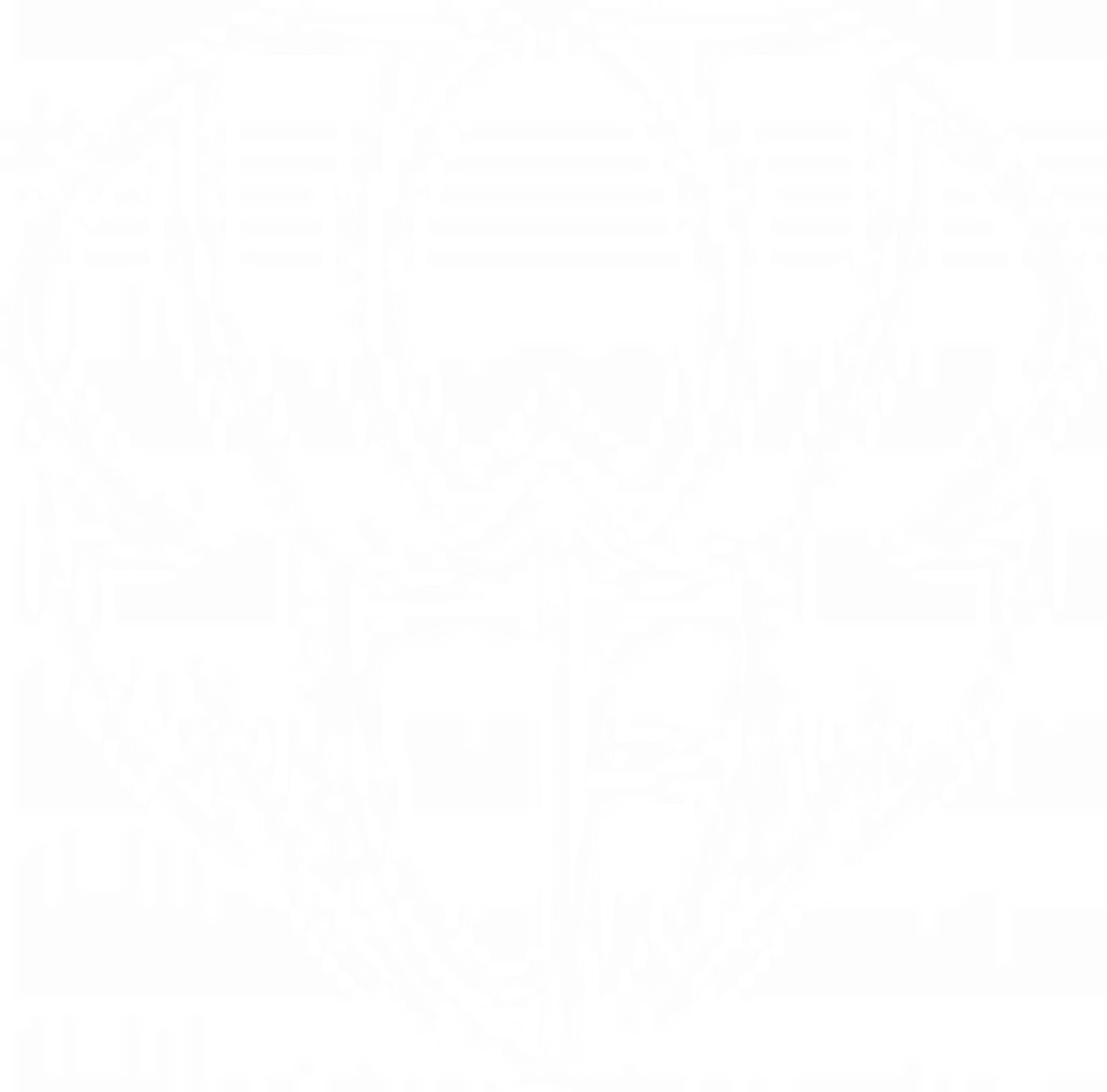 WEST COAST ACADEMY / Parkour, Ninja , cirque aérien, pole dance