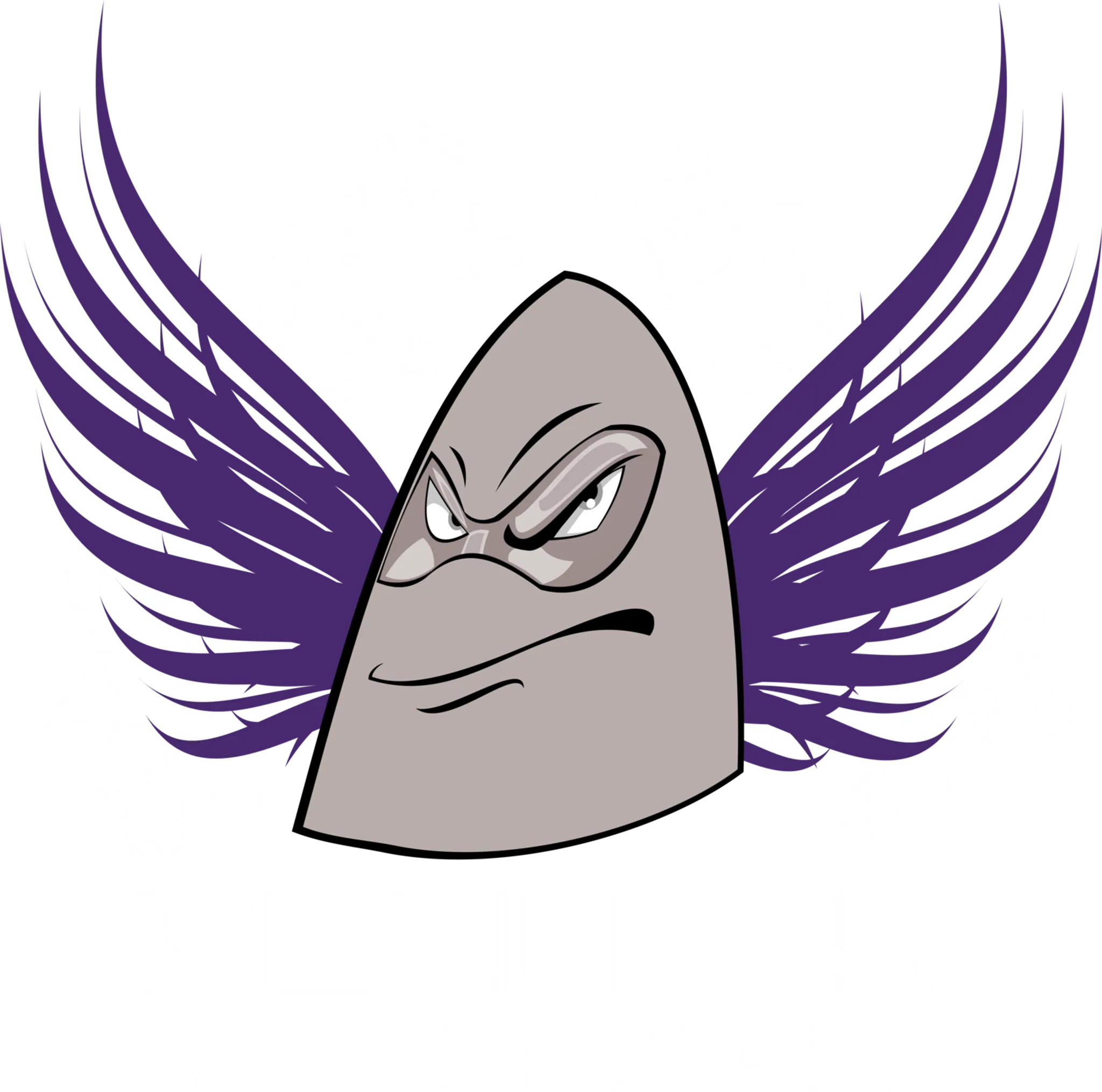 Bullets Allstars Cheerleading
