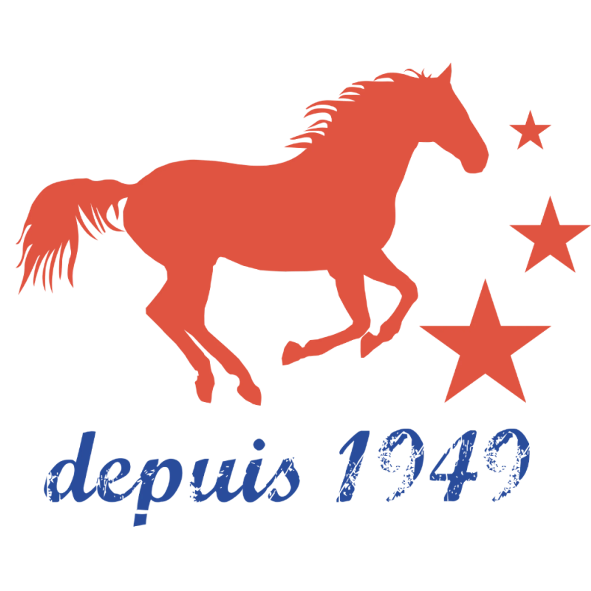 Cercle Hippique Du Bois De Vincennes - School Riding / Pas De Balade
