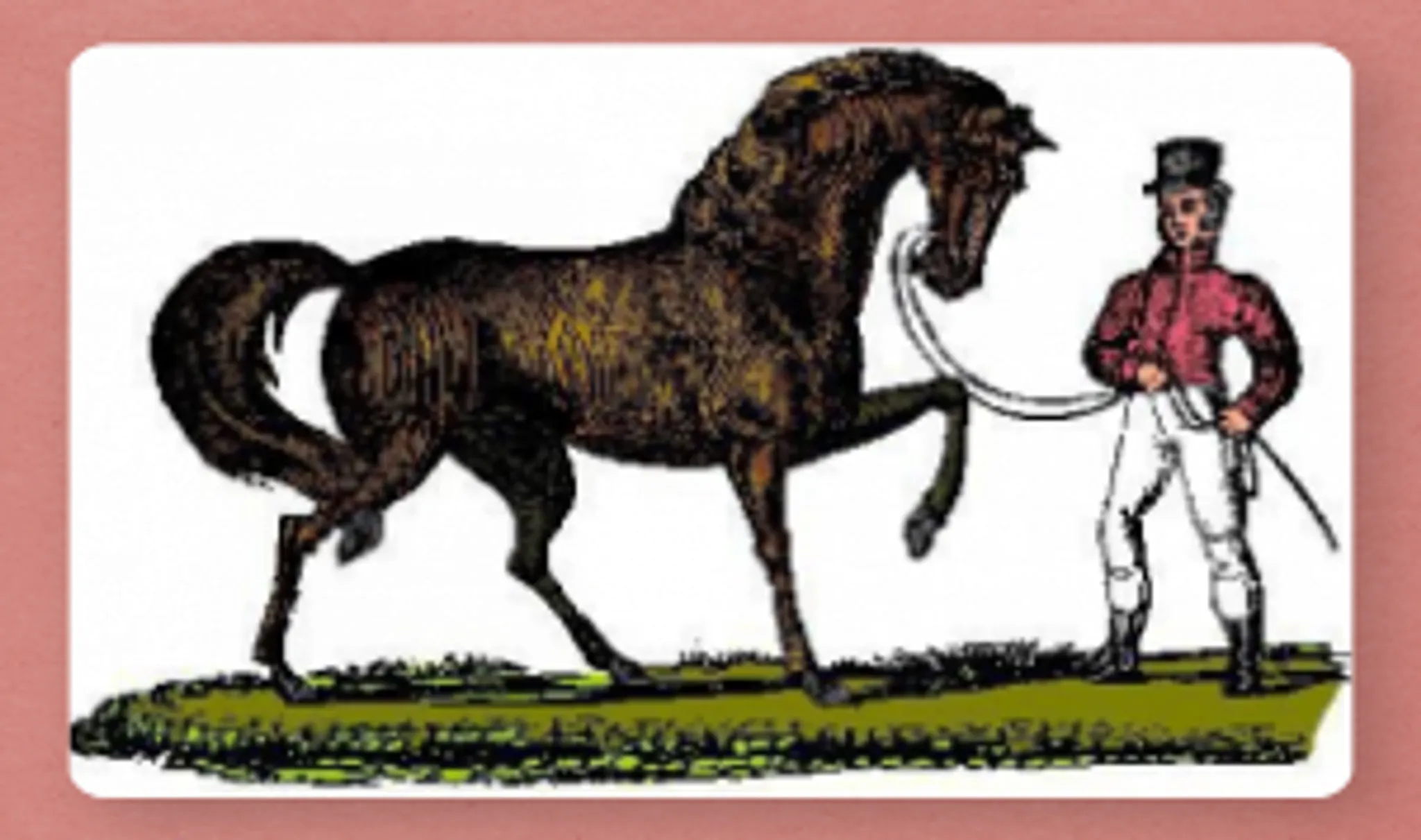 The Stables Horse Activity Centre