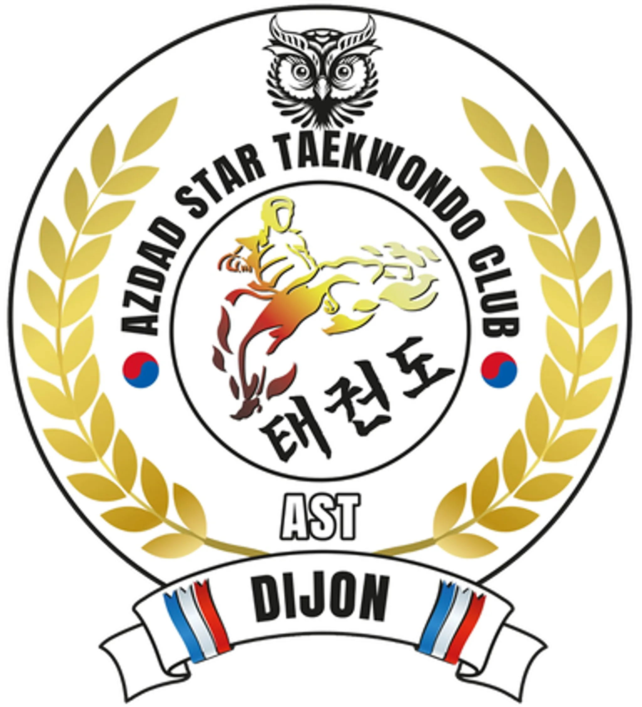 Taekwondo Dijon Azdad Star