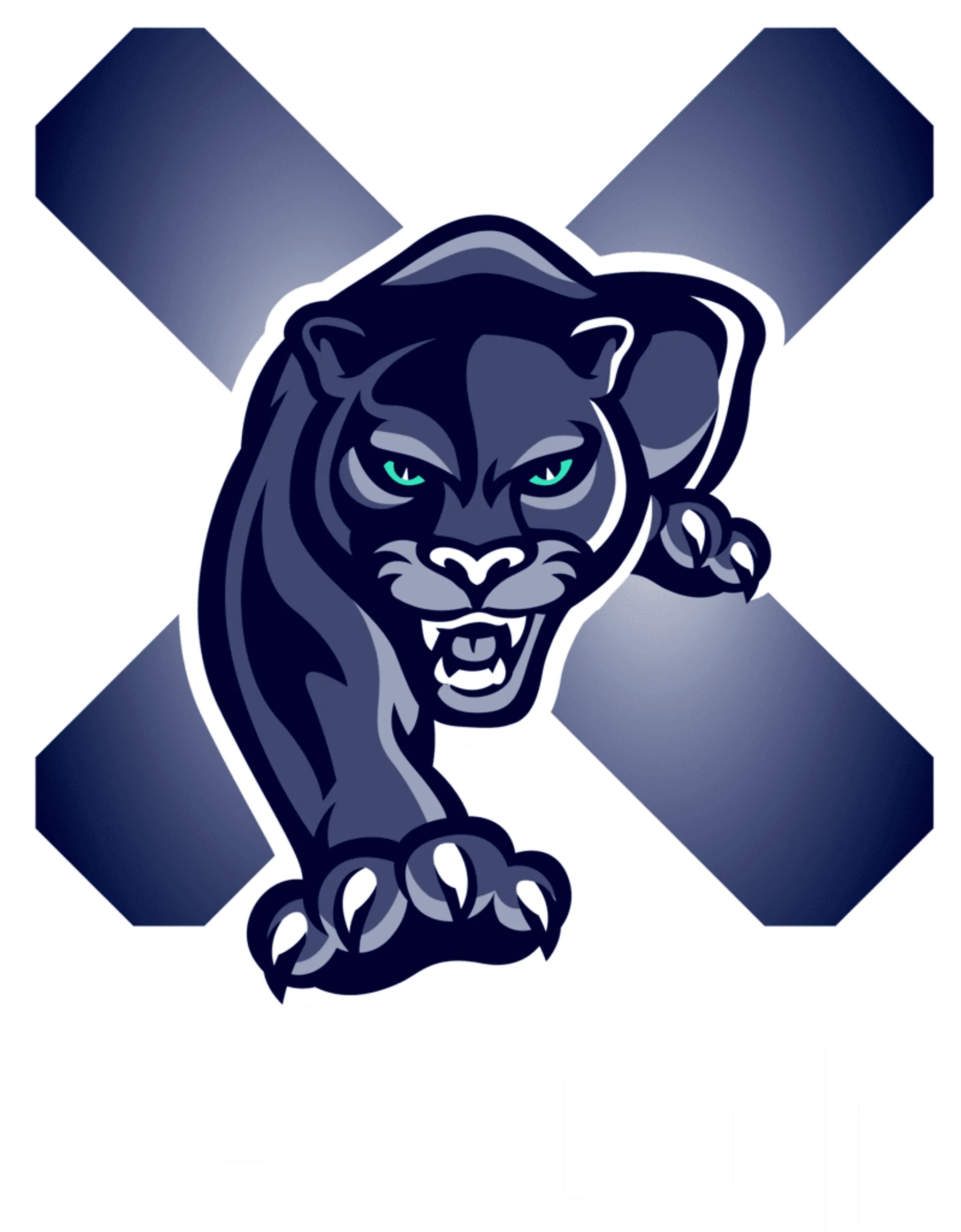 XCELERATE GYM Wakefield