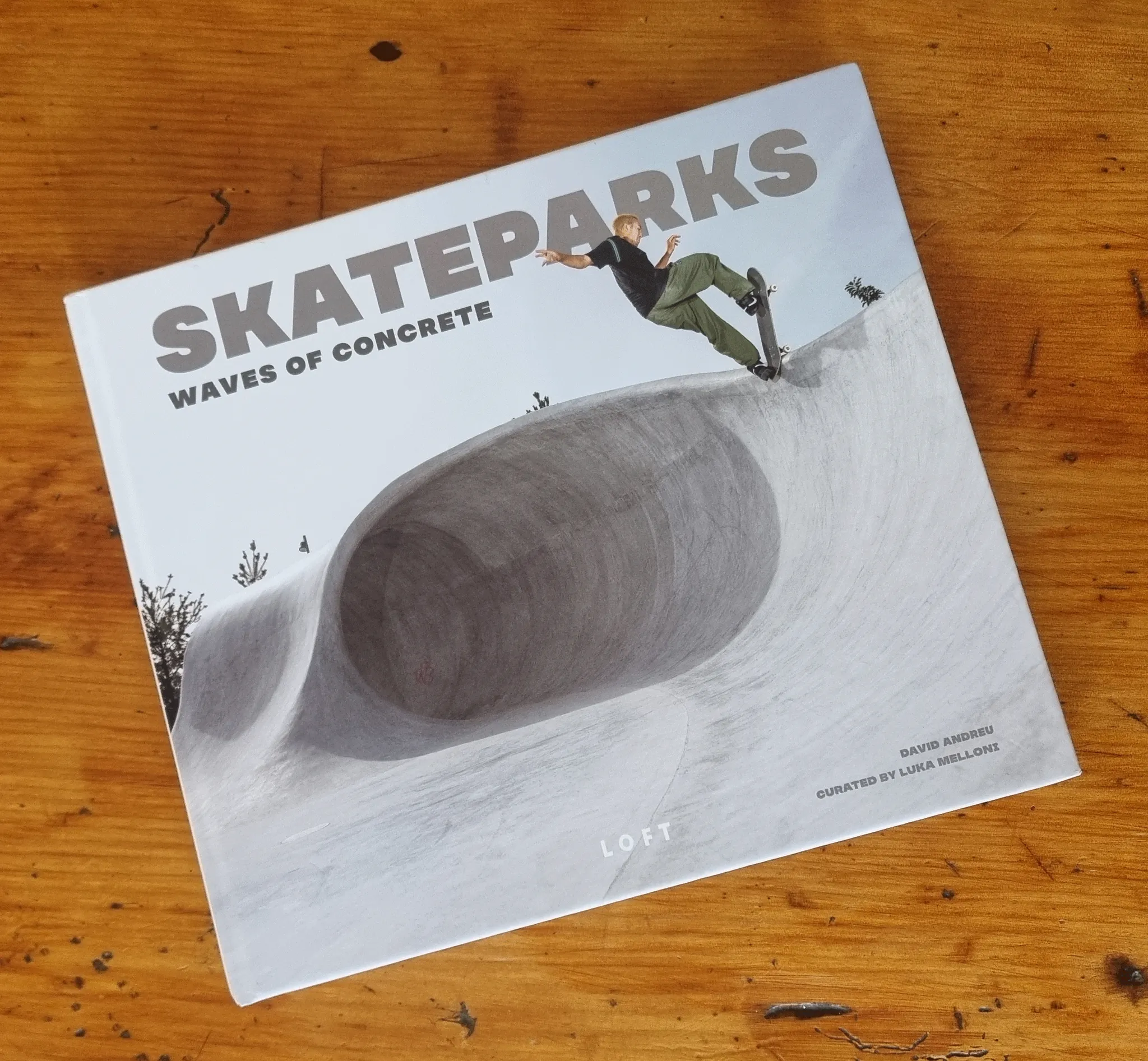 Queen Elizabeth Skate Park