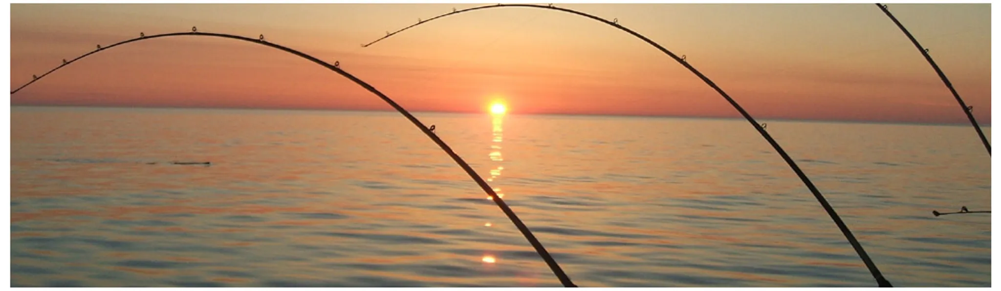 PEI Deep Sea Fishing Charters at Covehead Harbor