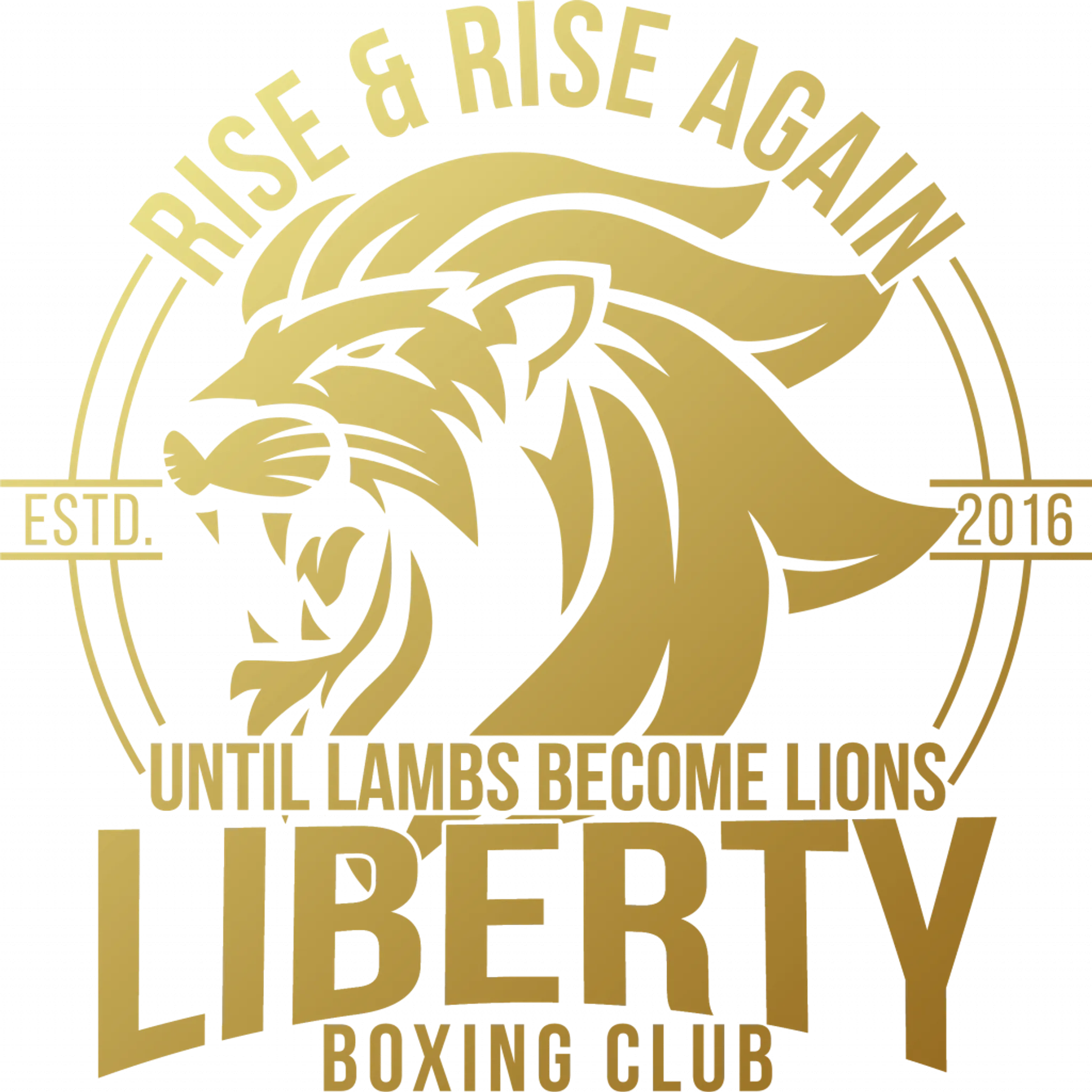 Liberty Boxing Club Bray