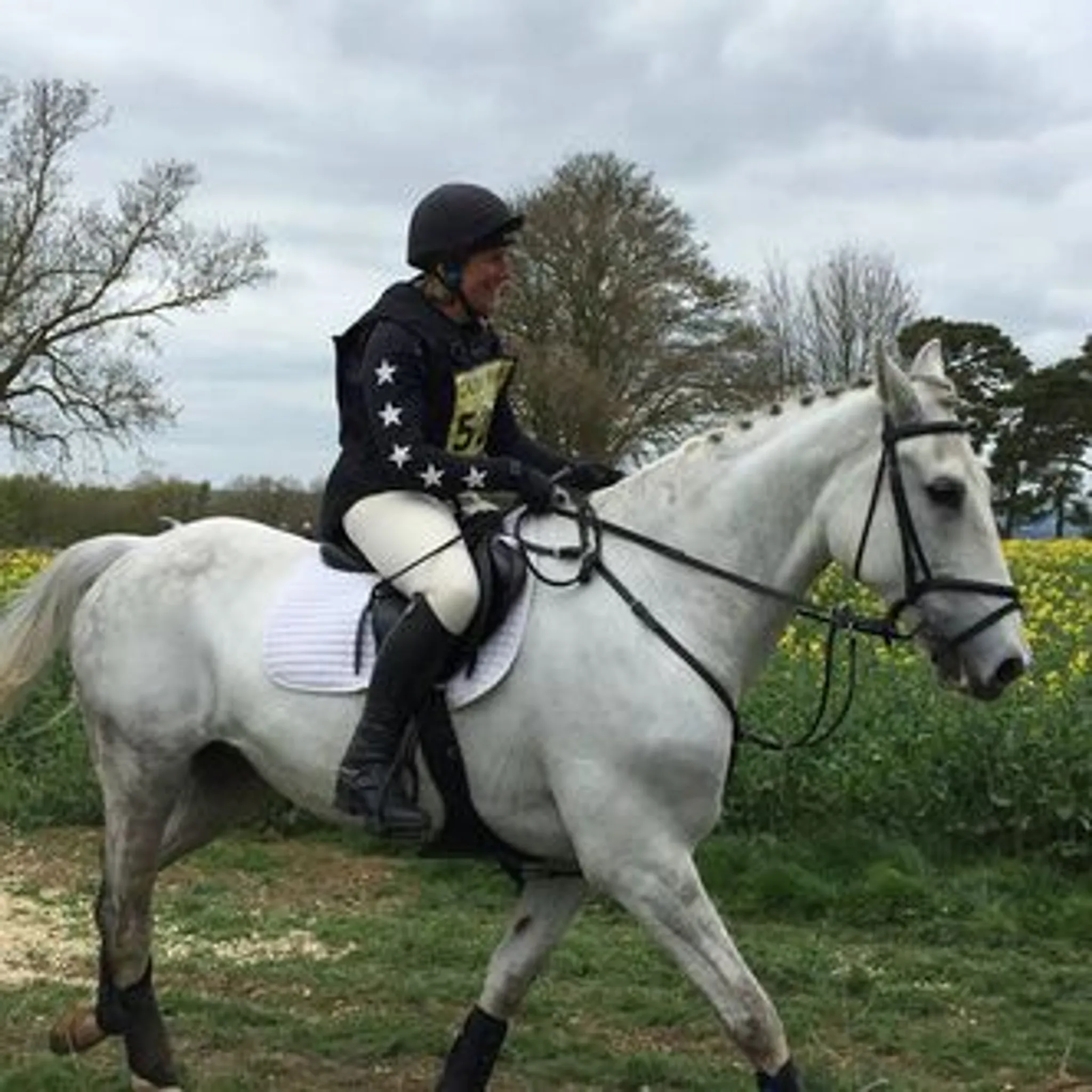 Caron Roberts Equestrian