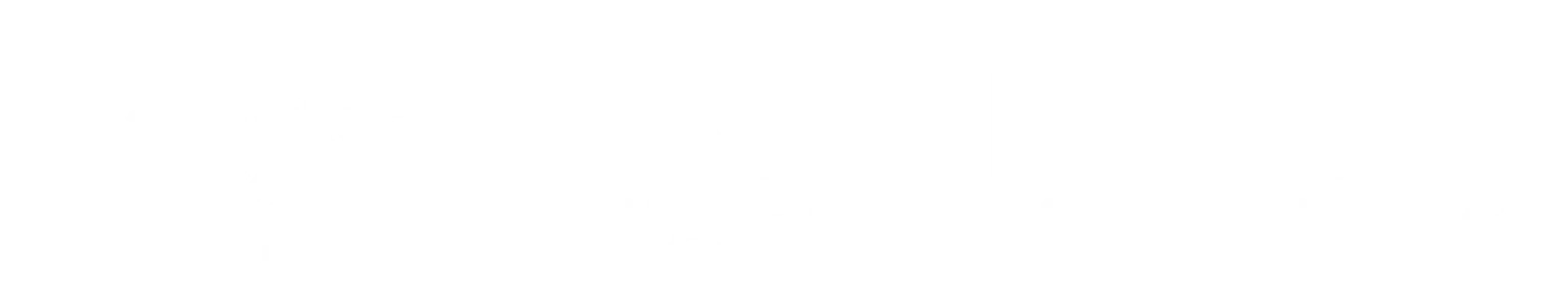 Bonefish Charters