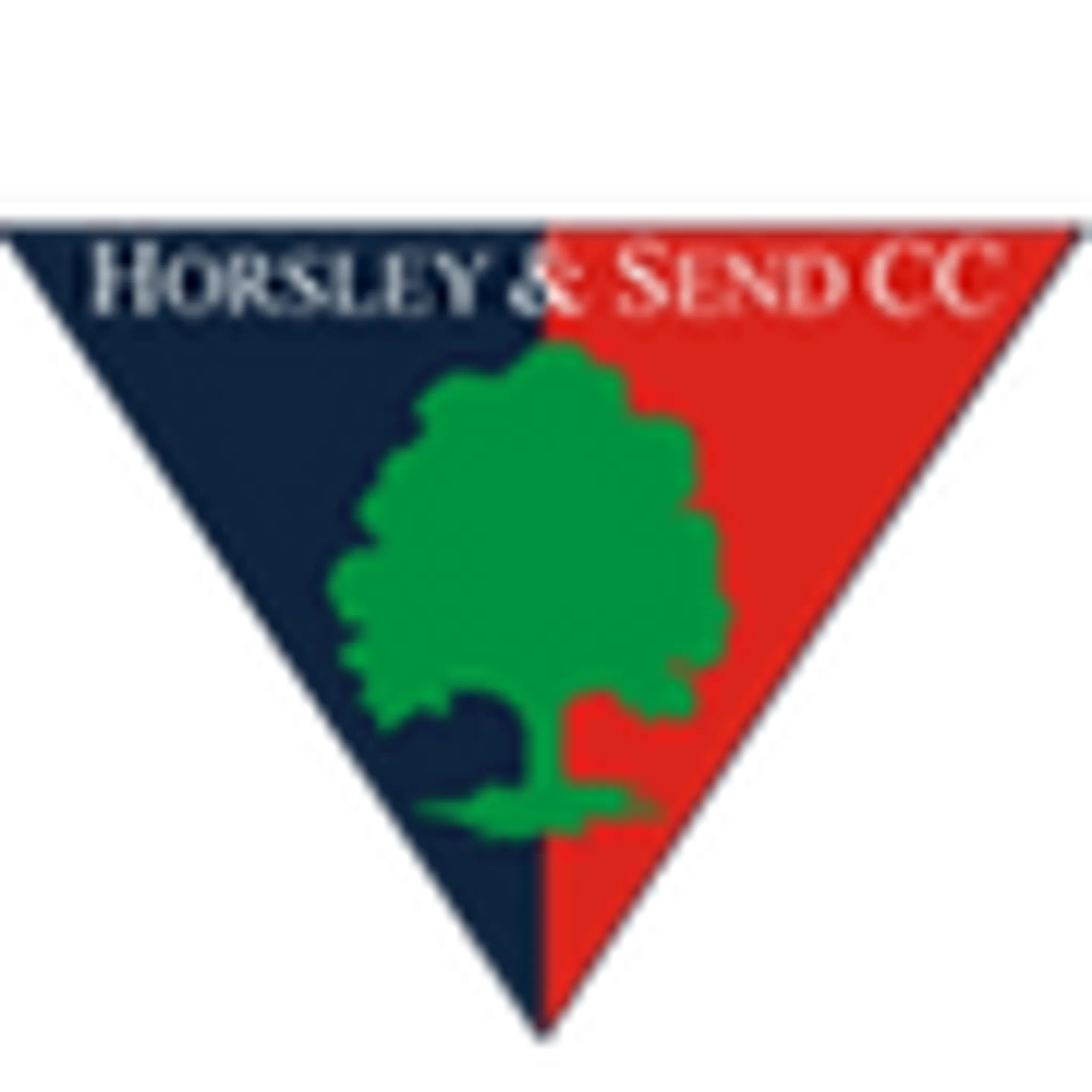 Horsley & Send Cricket Club
