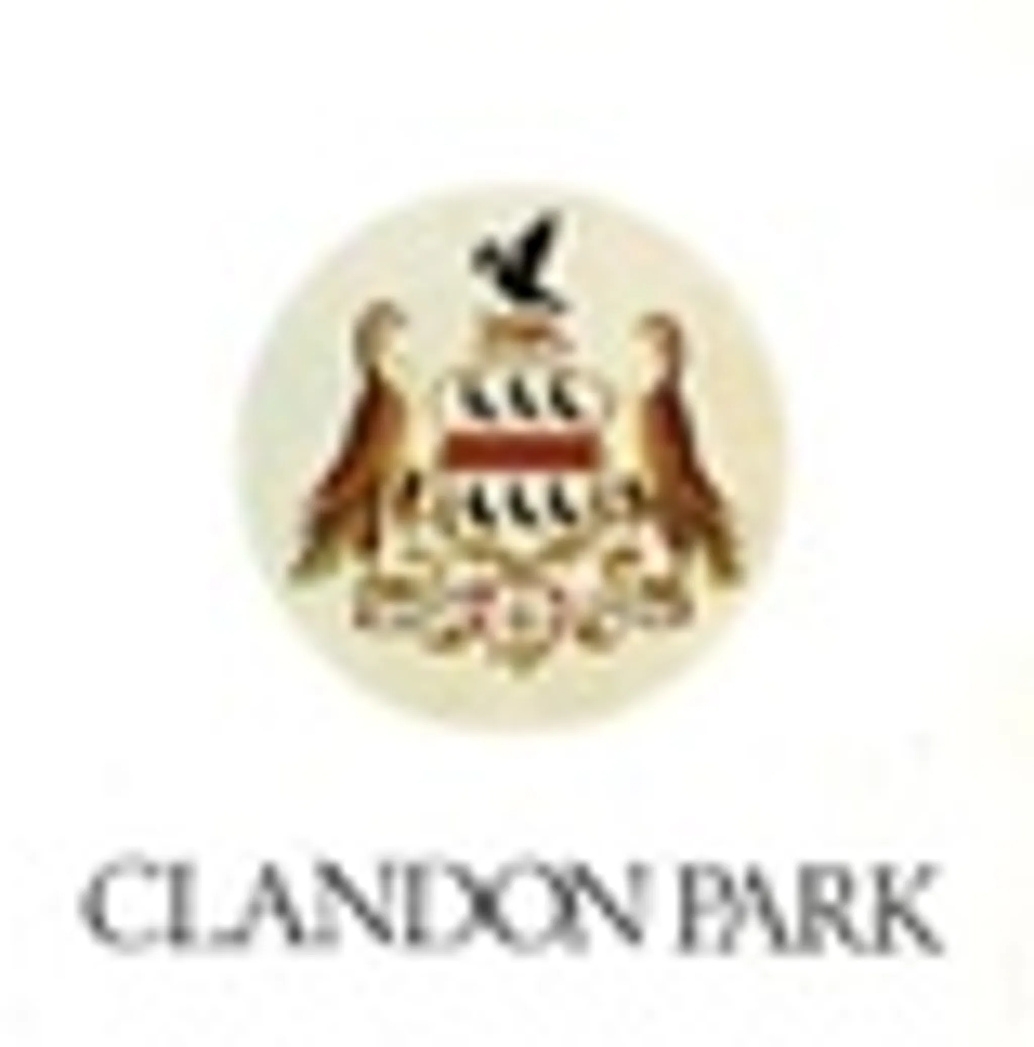 Clandon Park Fishing Lake