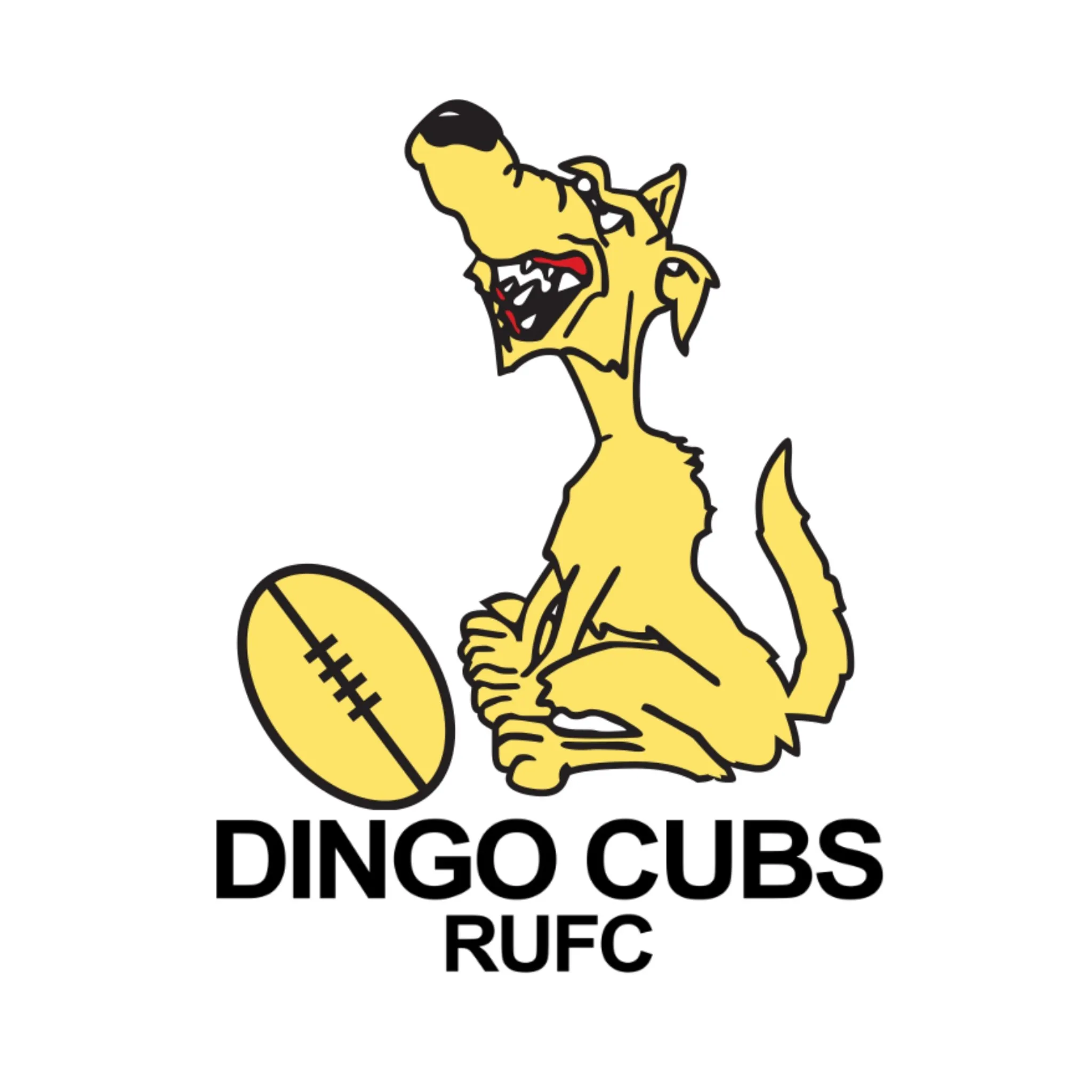 Dingo Cubs Rugby Union Football Club