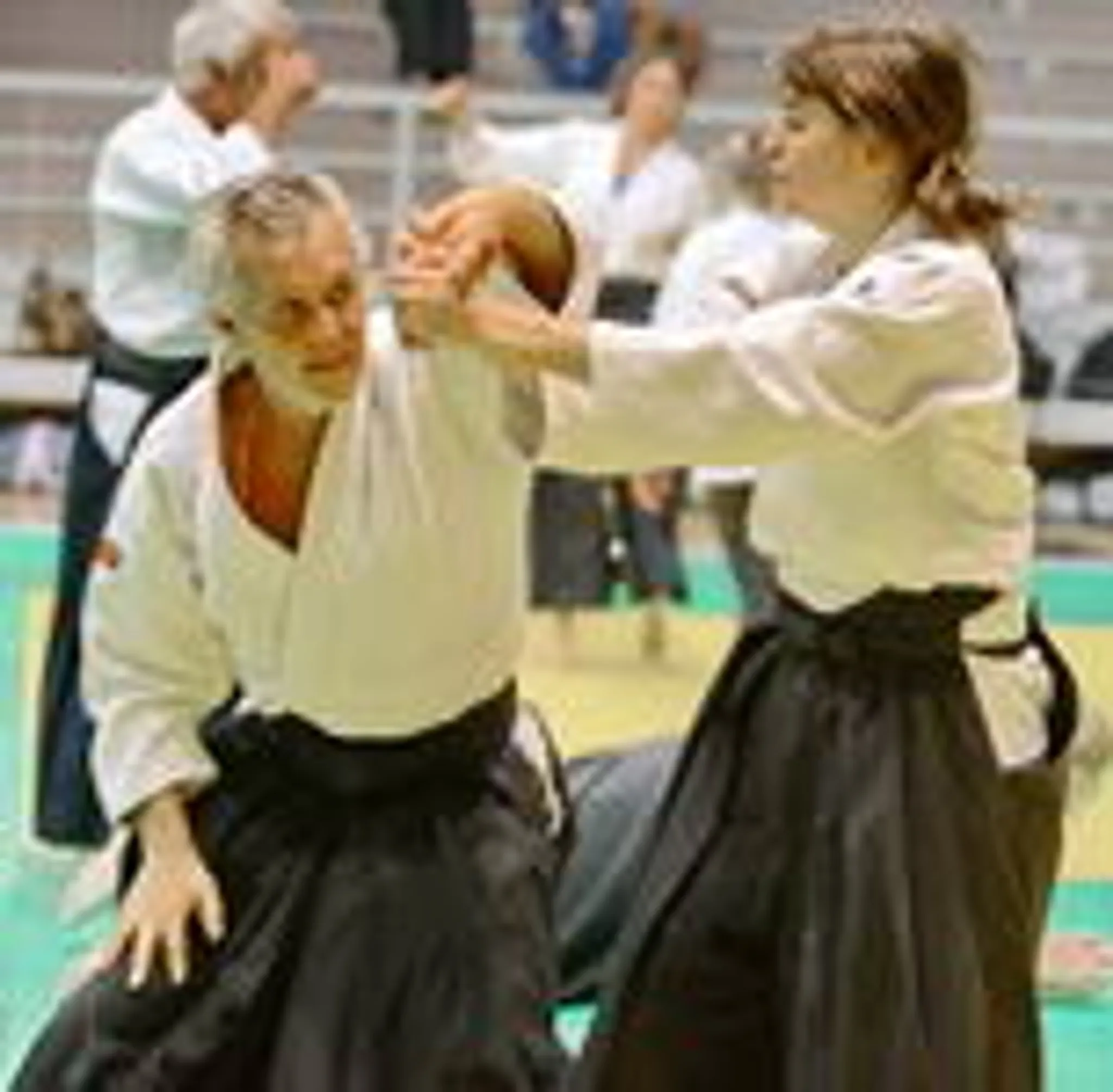 Aikido Lyon 69