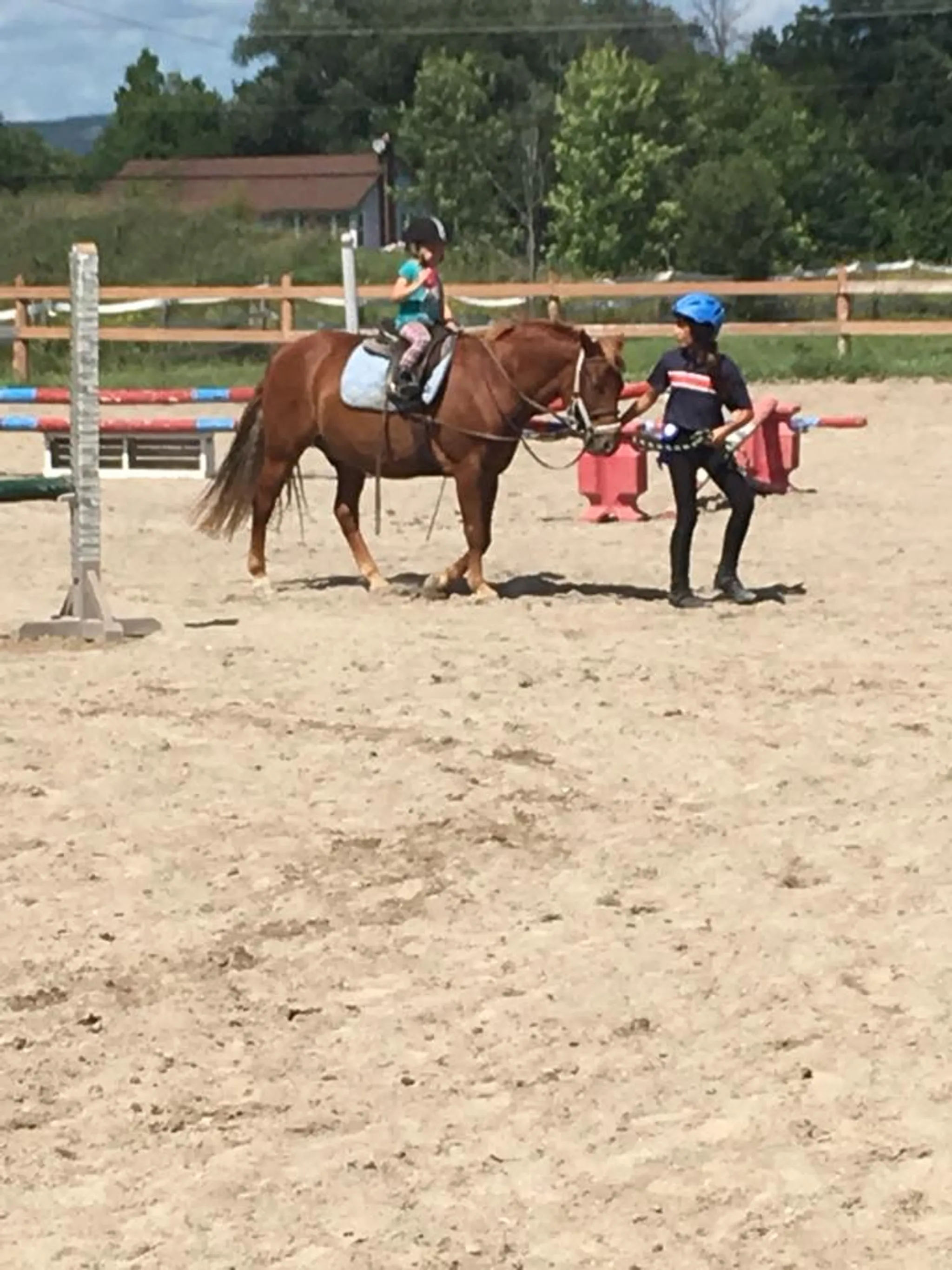 Linsell Farm Camp 2024 Registration