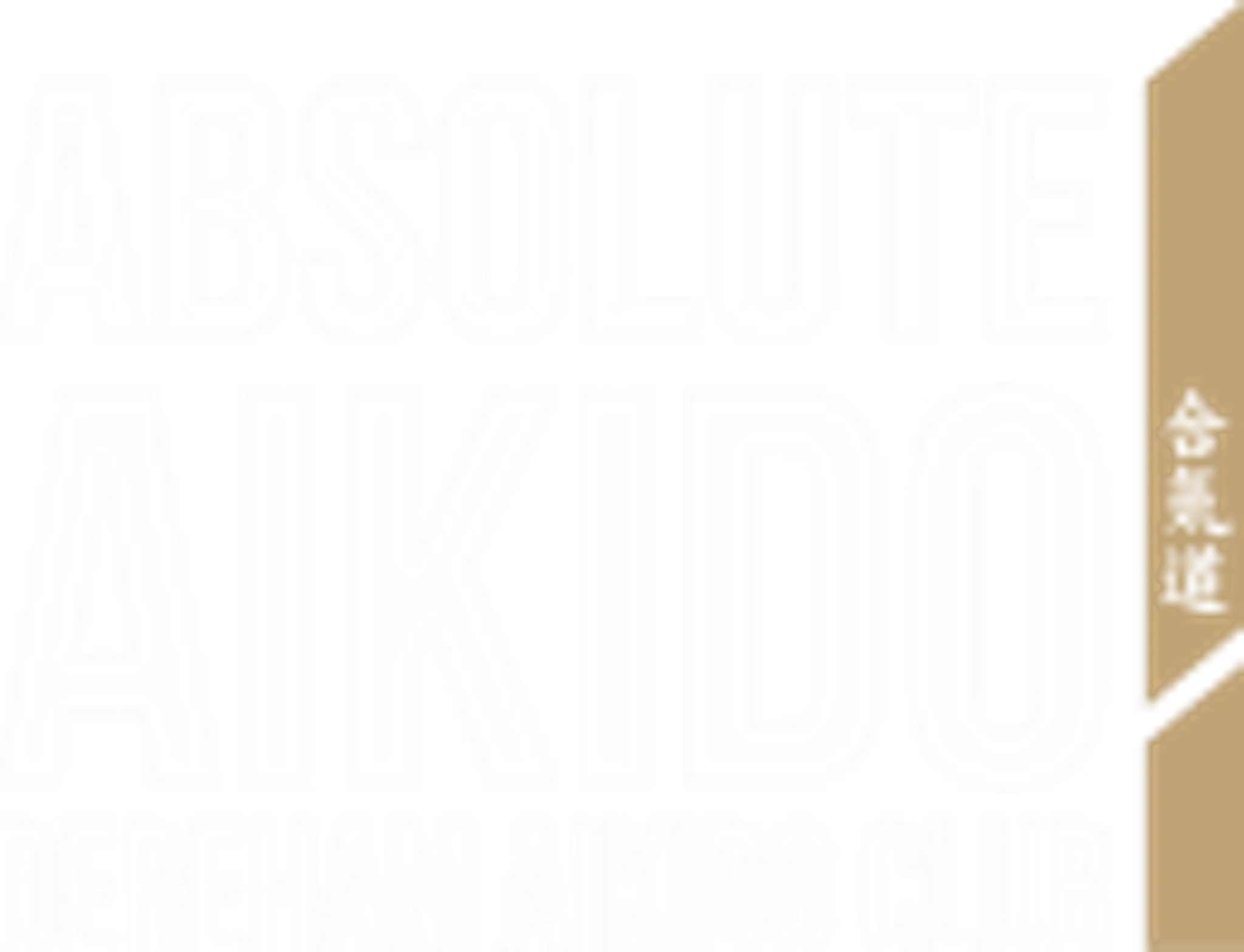 Absolute Aikido - At The Studio Martial Arts Centre