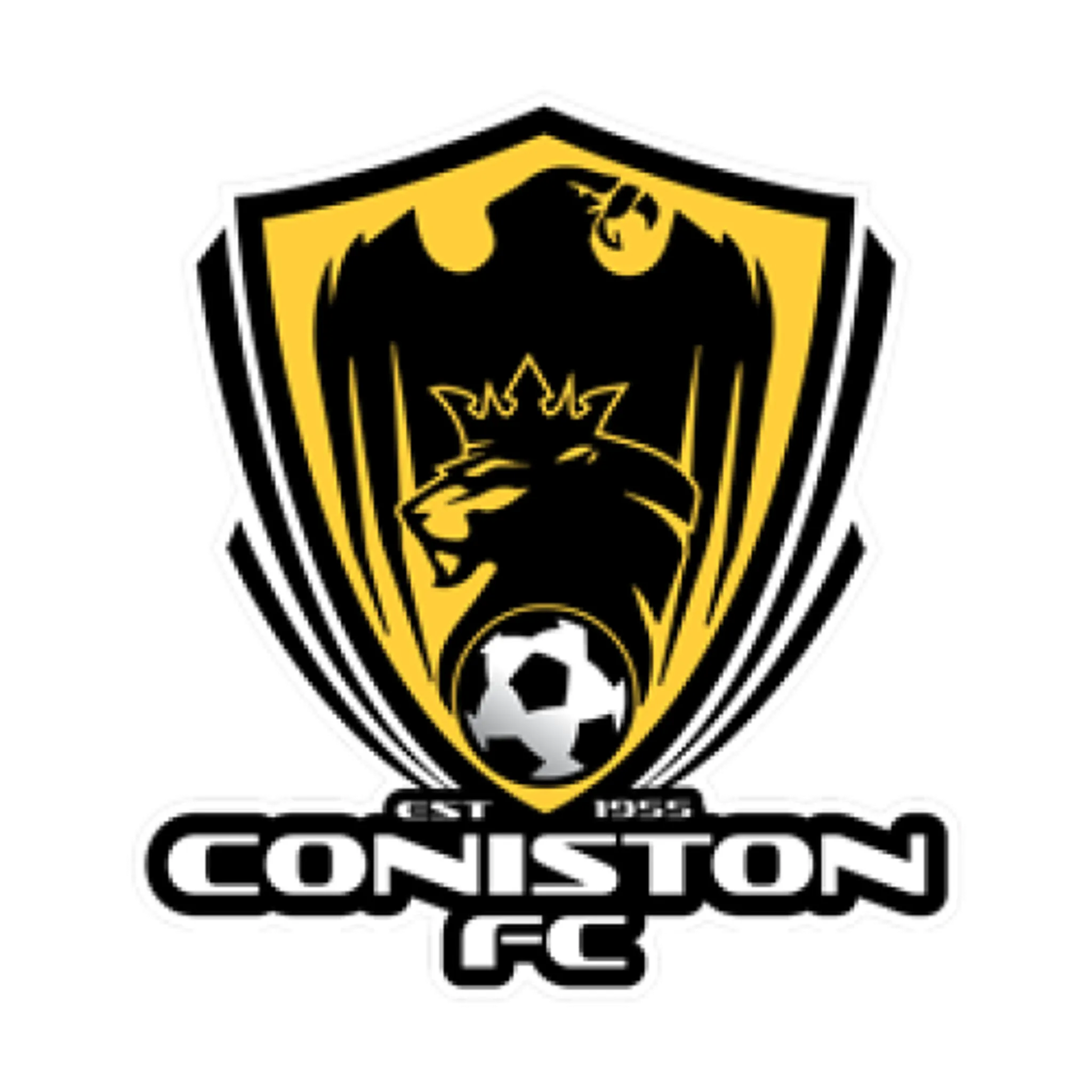 Coniston FC