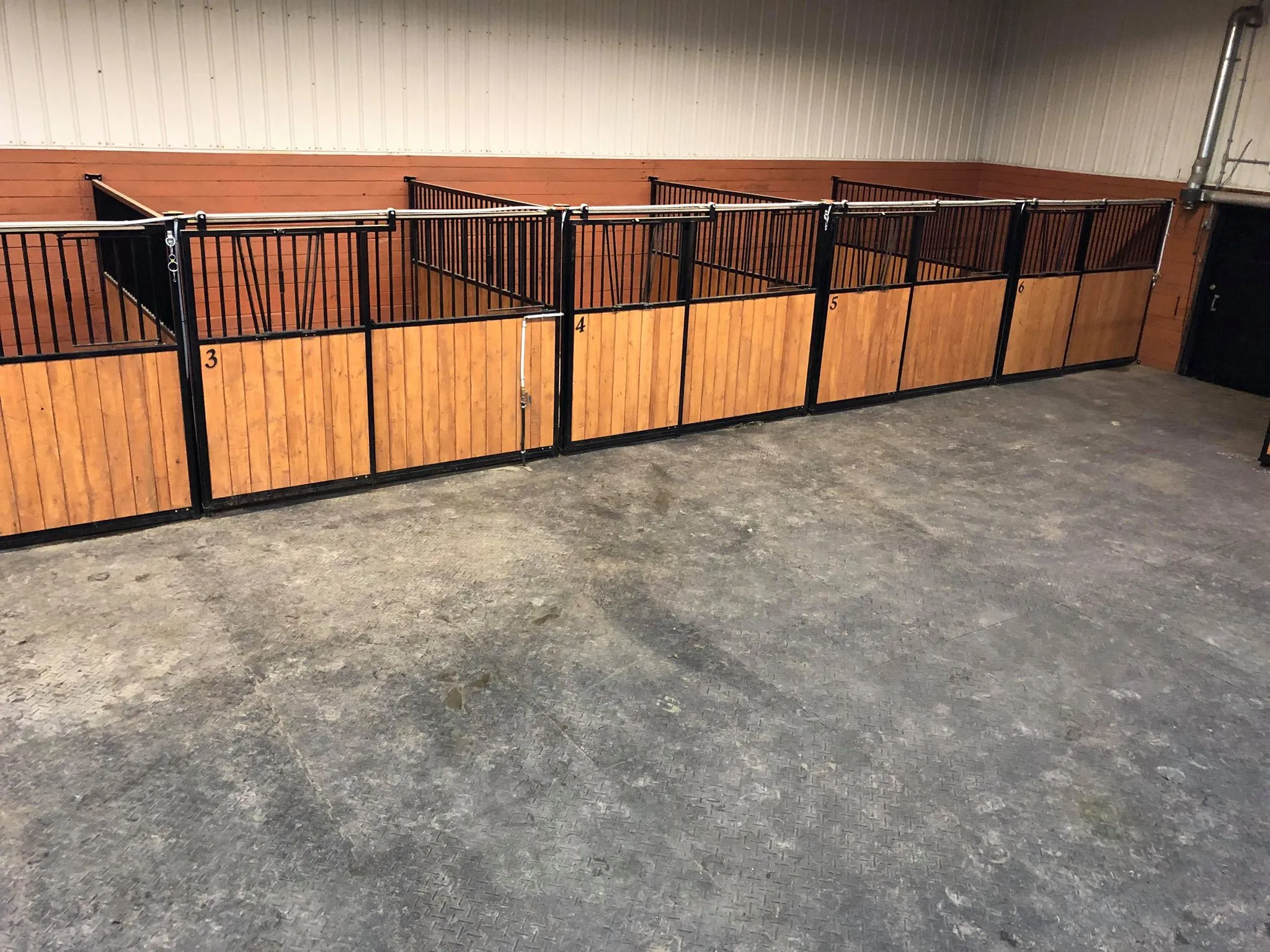 Diversity Horsemanship