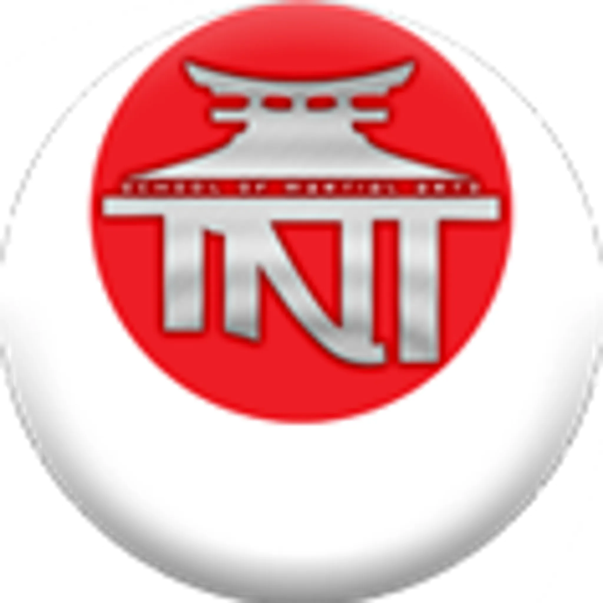 TNT School Of Martial Arts