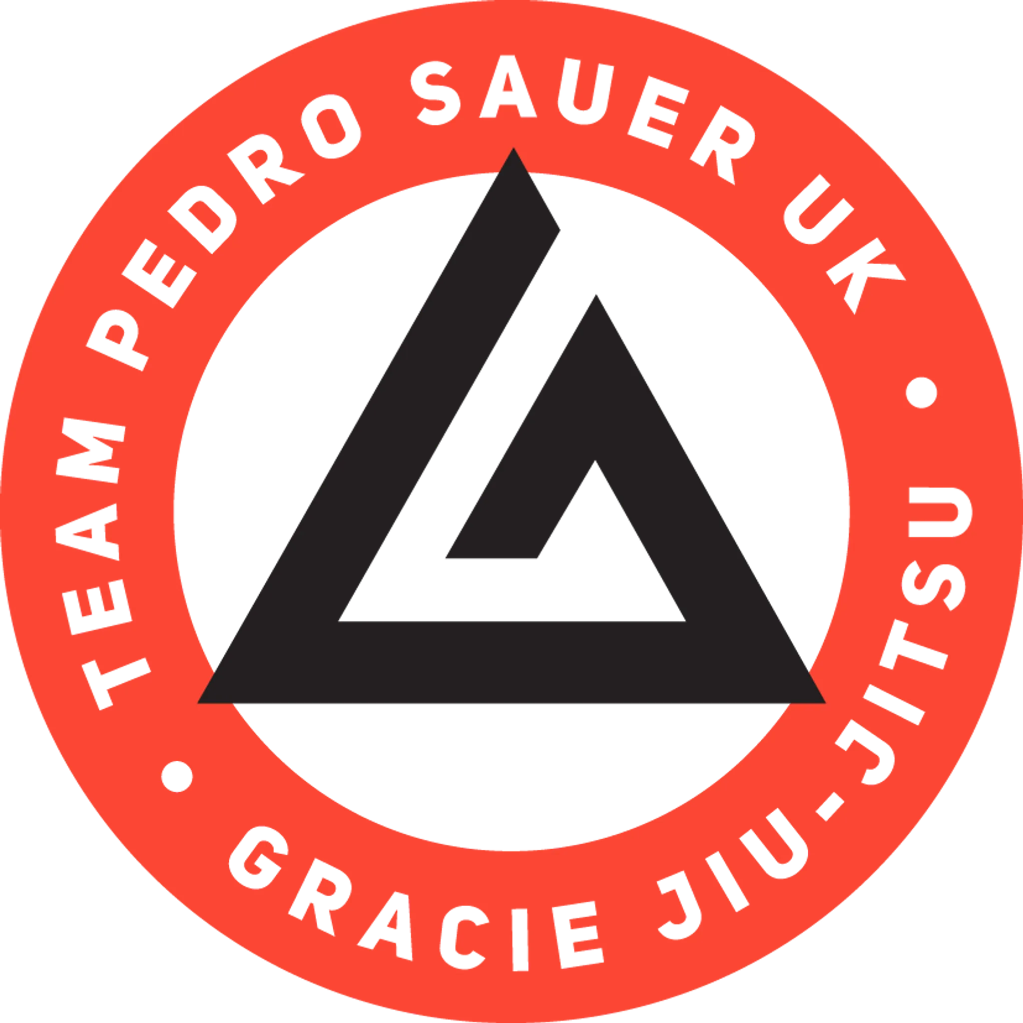 Team Pedro Sauer UK