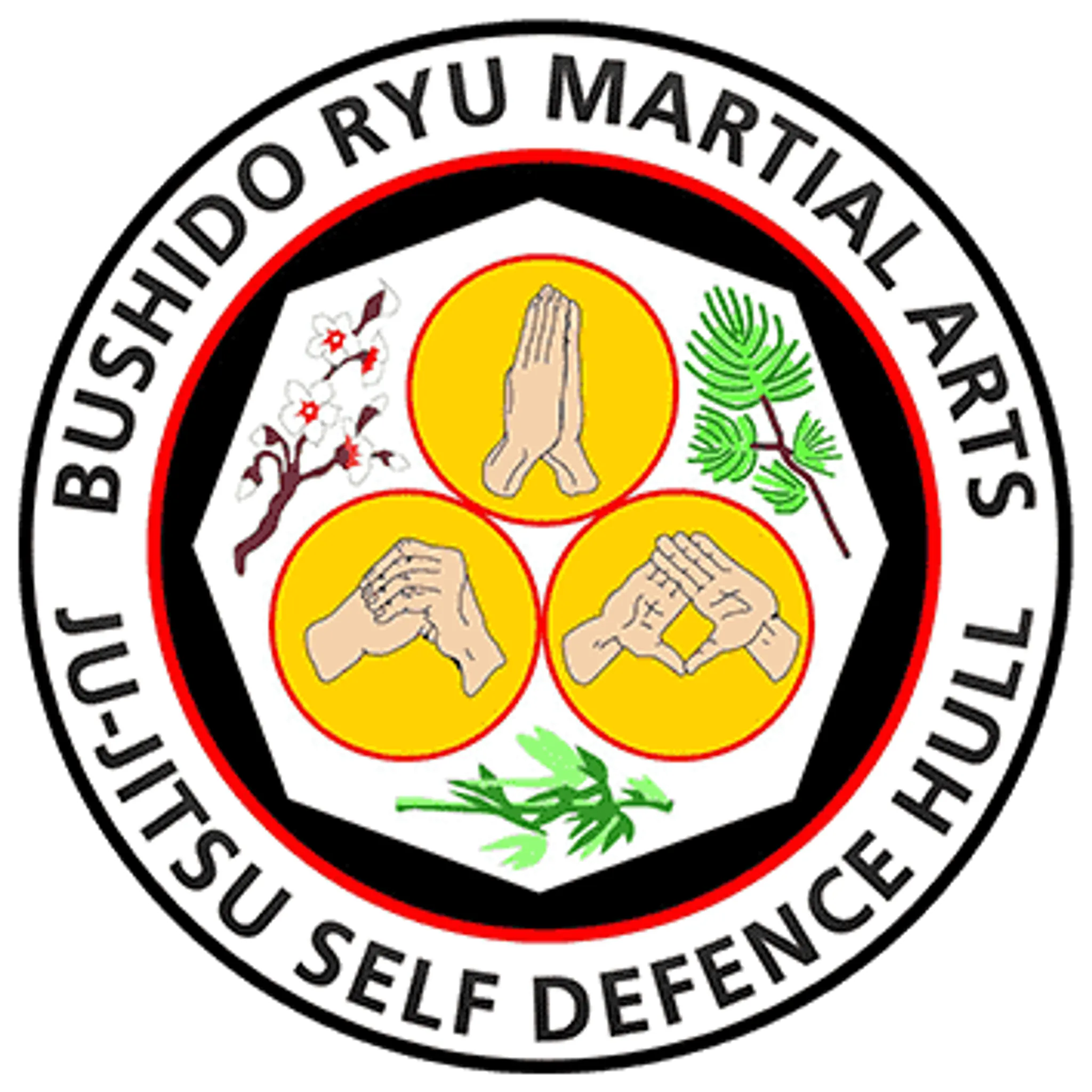 Bushido Ryu Martial Arts