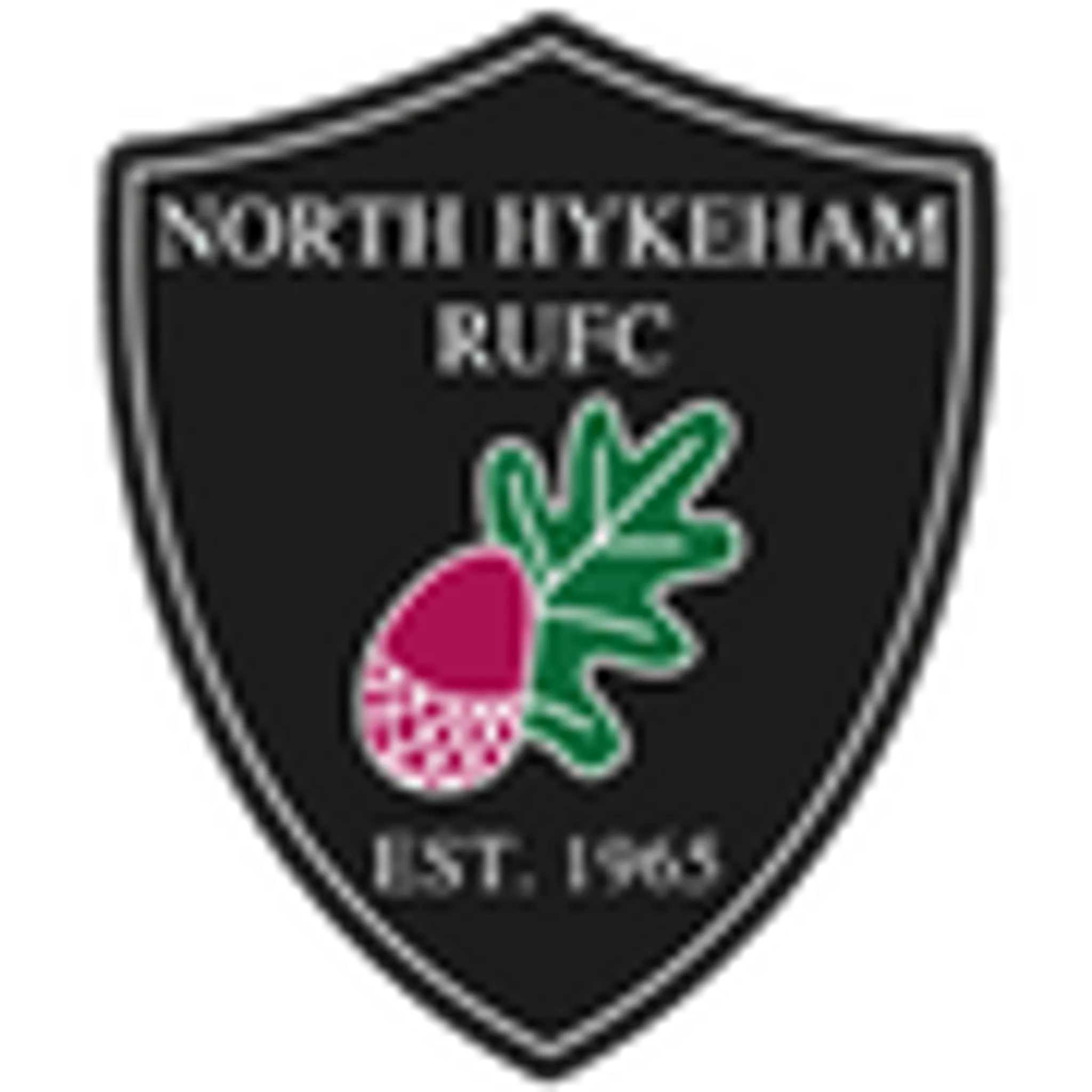 North Hykeham Rugby pitch