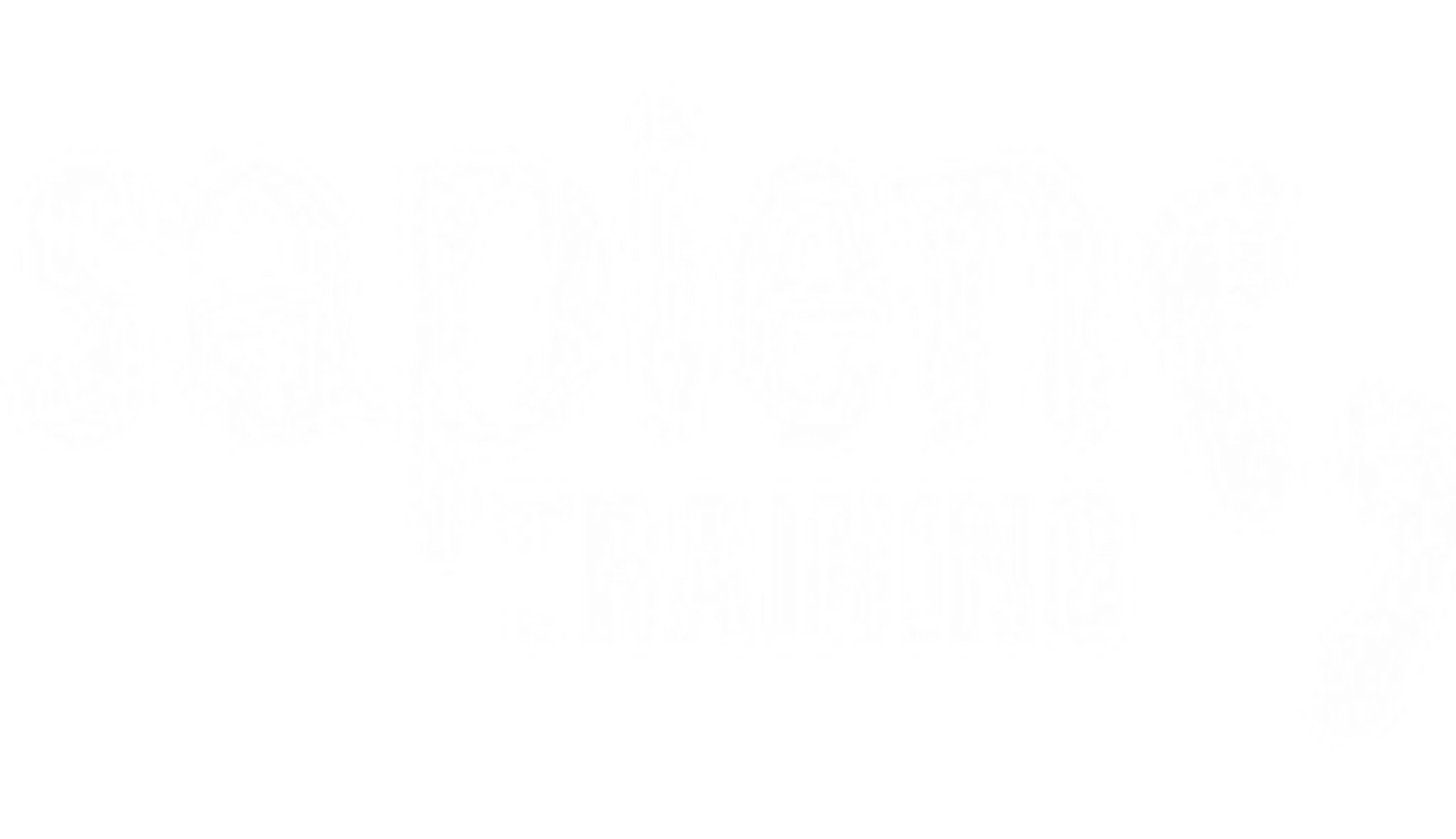 Sapien Training
