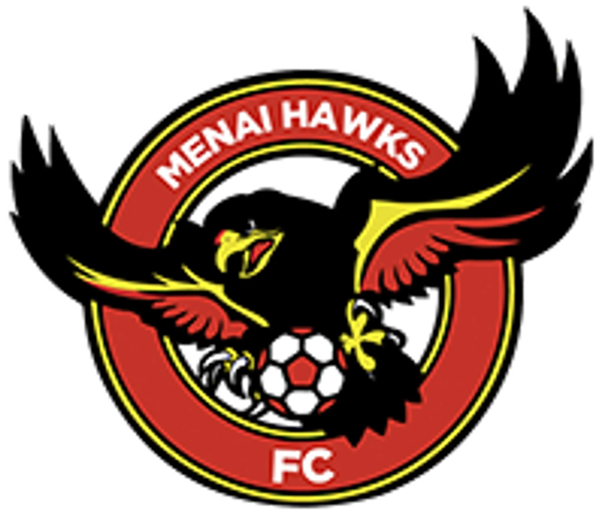 Menai Hawks Football Club
