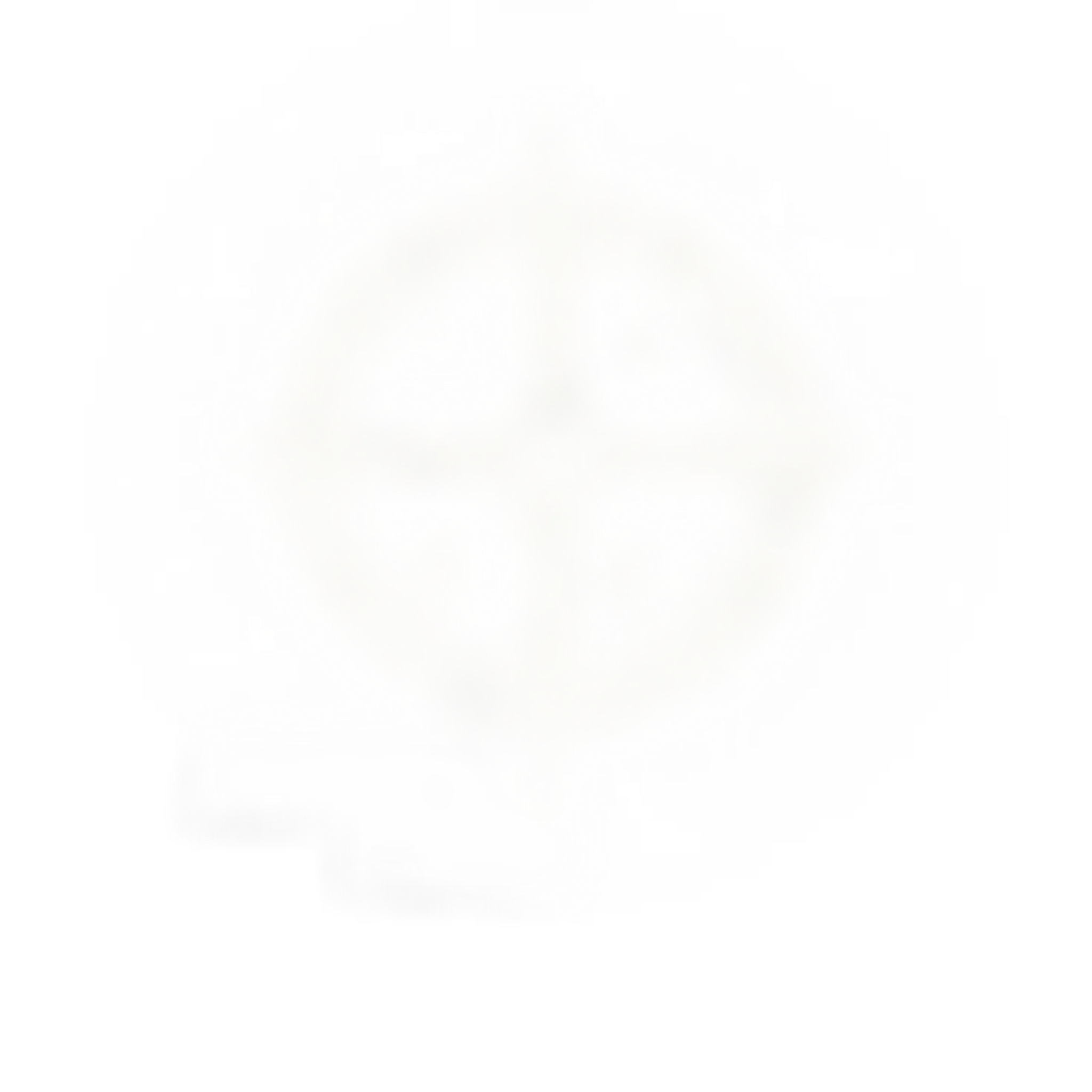 Joakim Peper | Yoga, Breathwork & Chamanisme | Coach de Vie