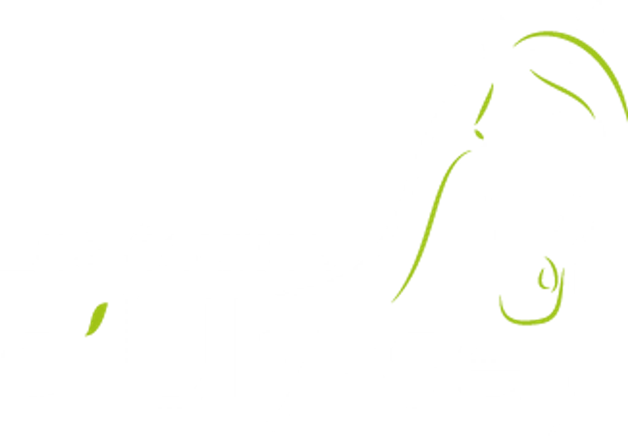 Ecuries D Ulysse