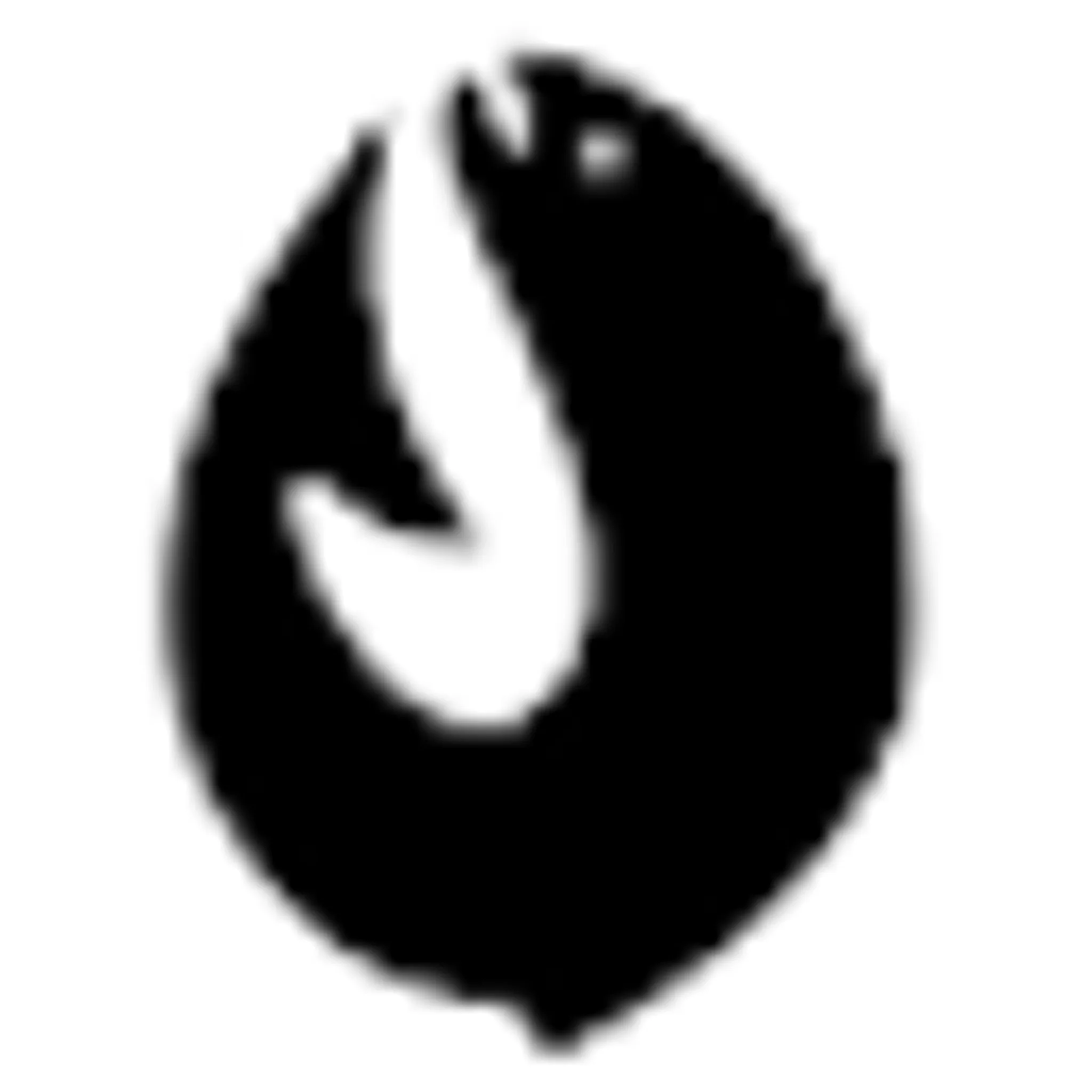 Fishers Island Adventures