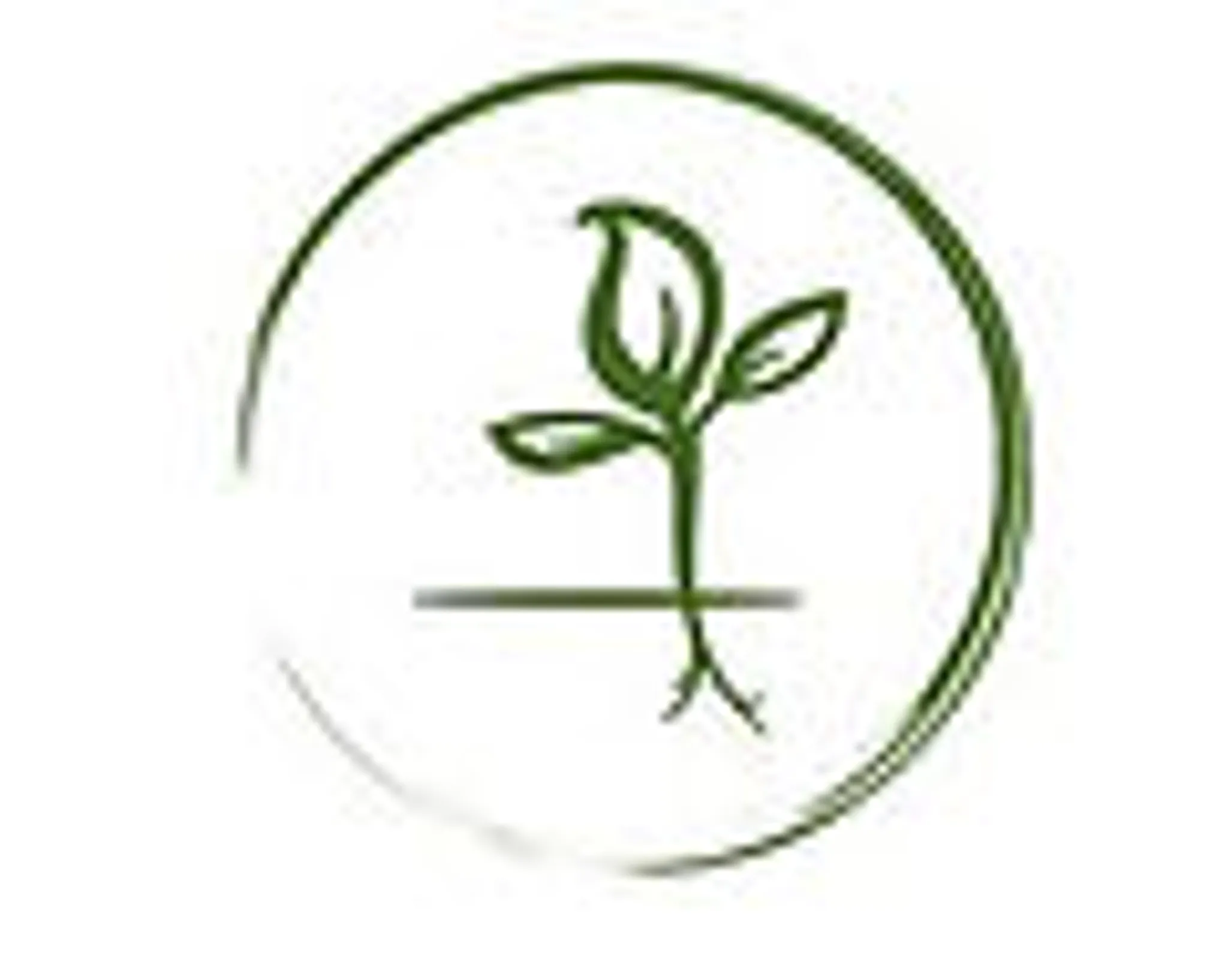 Root + Reach Pilates