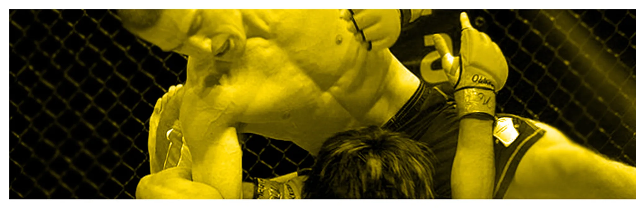 The Gunners Den Mixed Martial Arts