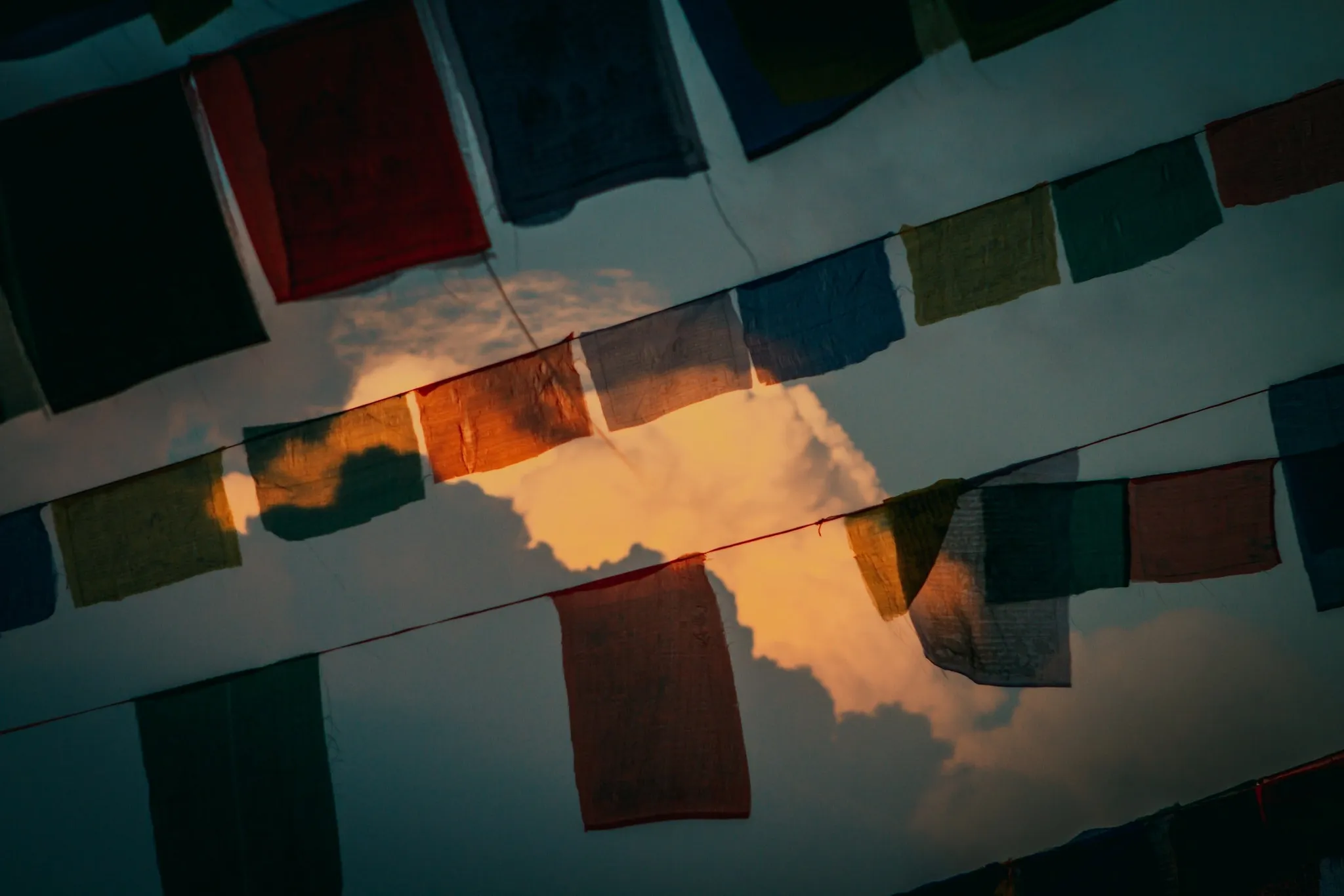 Therapeutic Yoga Workshop