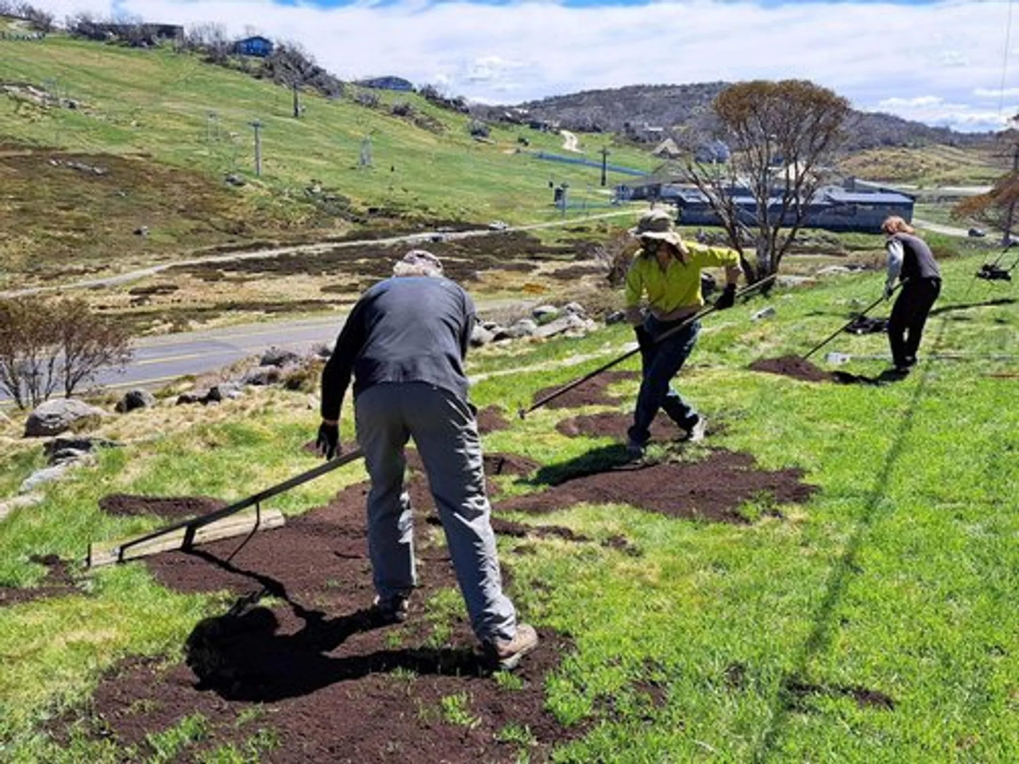 Annual Christmas Picnic Day