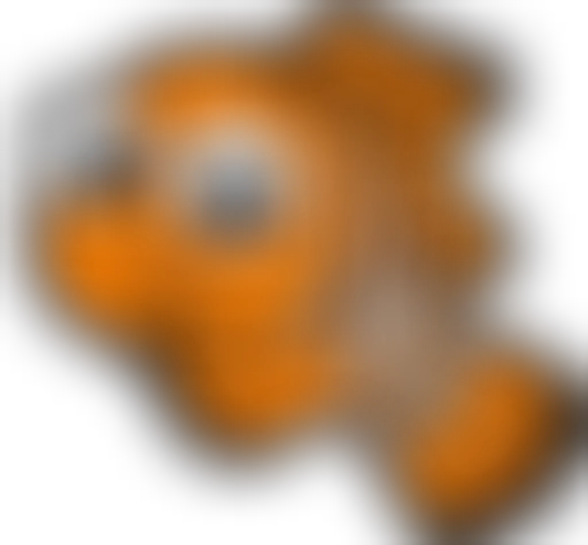 North Shore Swimming