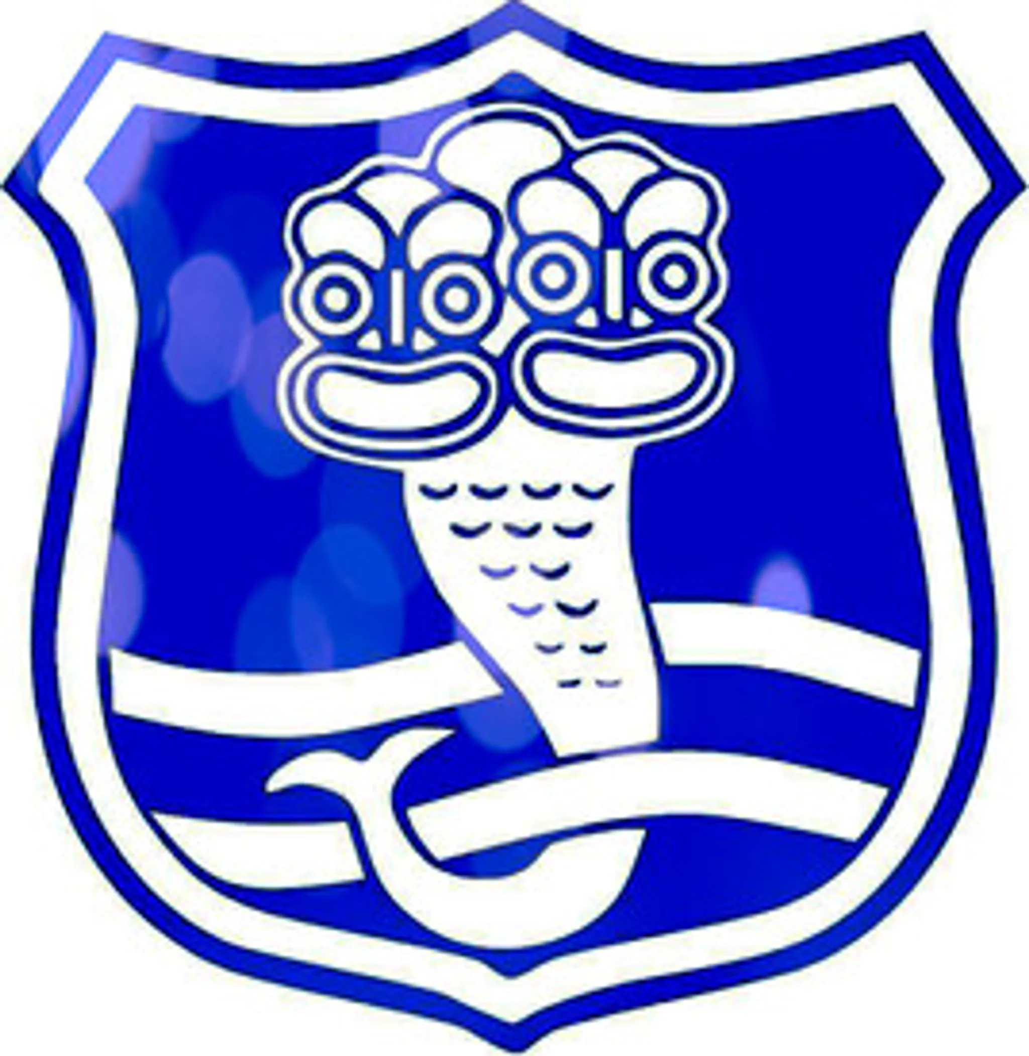 Fraser - Tech Rugby Club